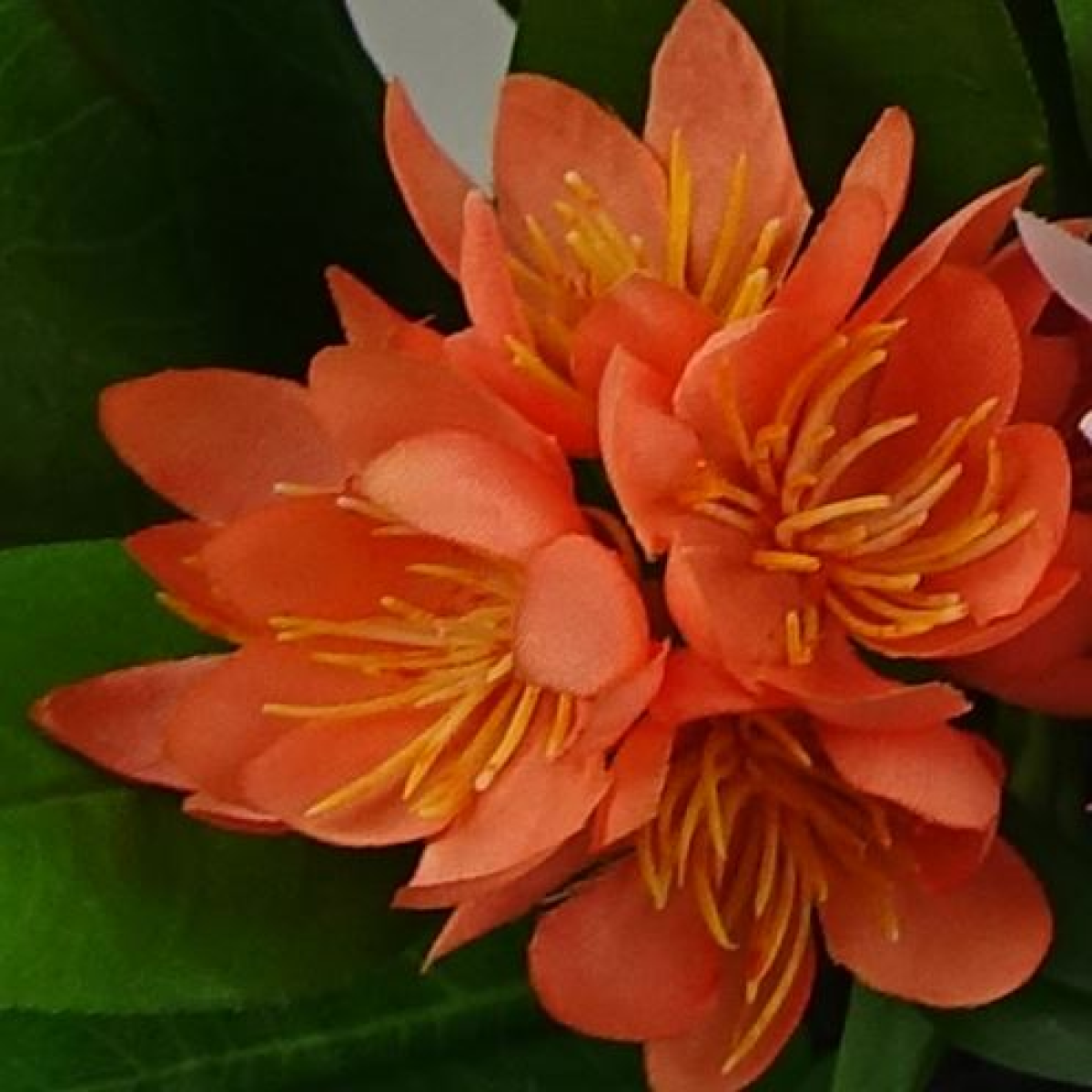 3 Pack Artificial Freesia Plants in Pink Orange and Yellow 18cm