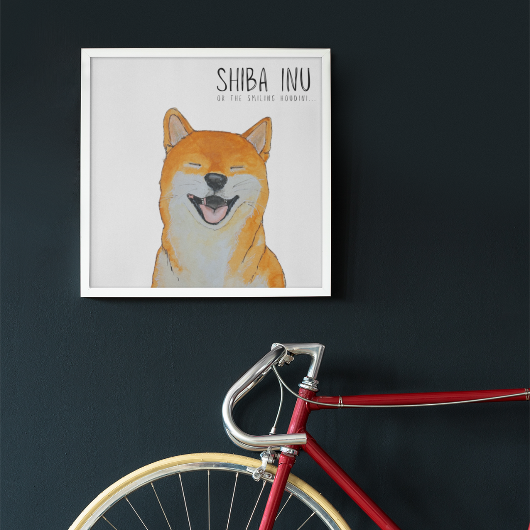Shiba Inu Wall Print Escape Artist Elegance