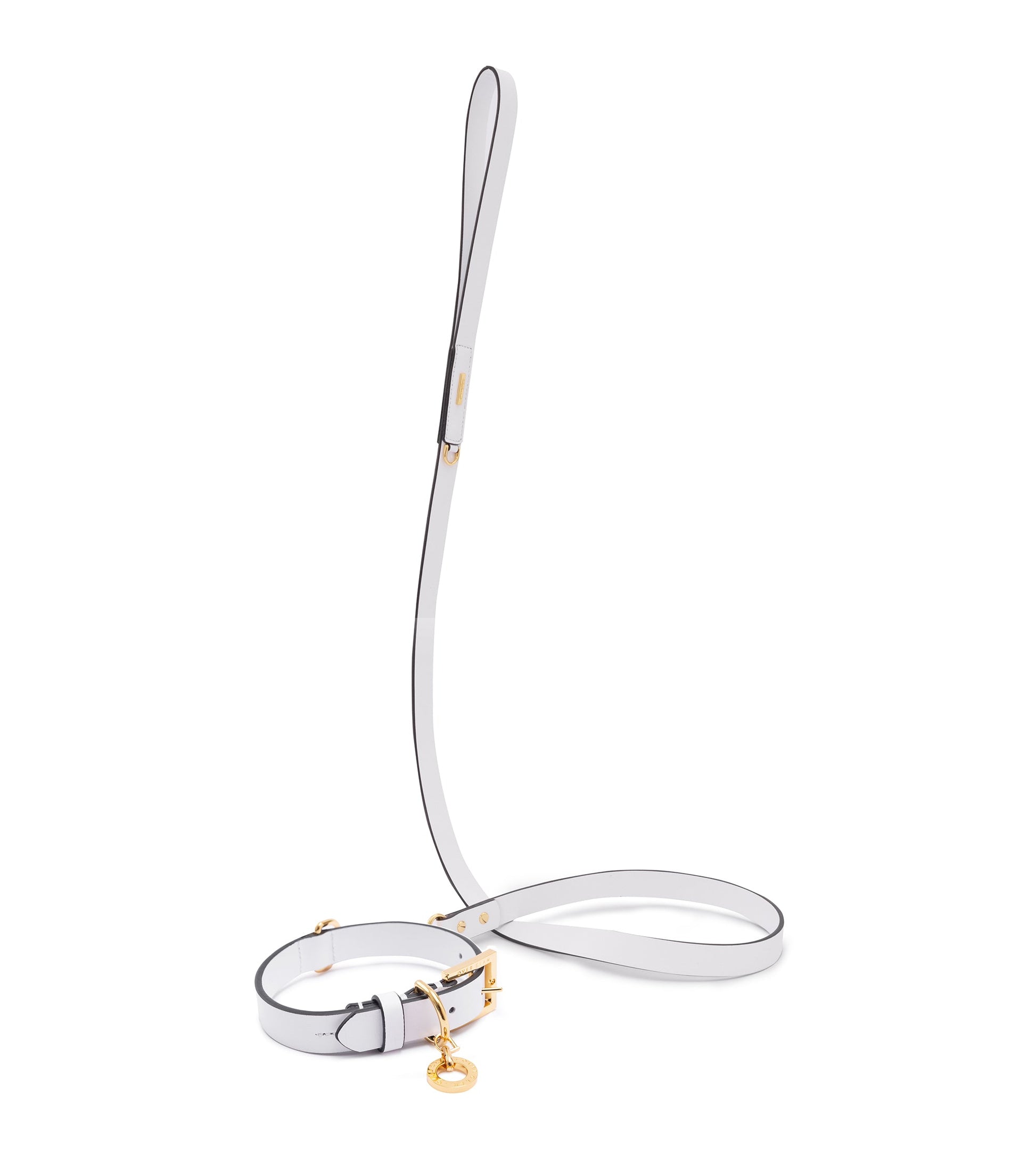 Premium Leather Lead and Collar Set