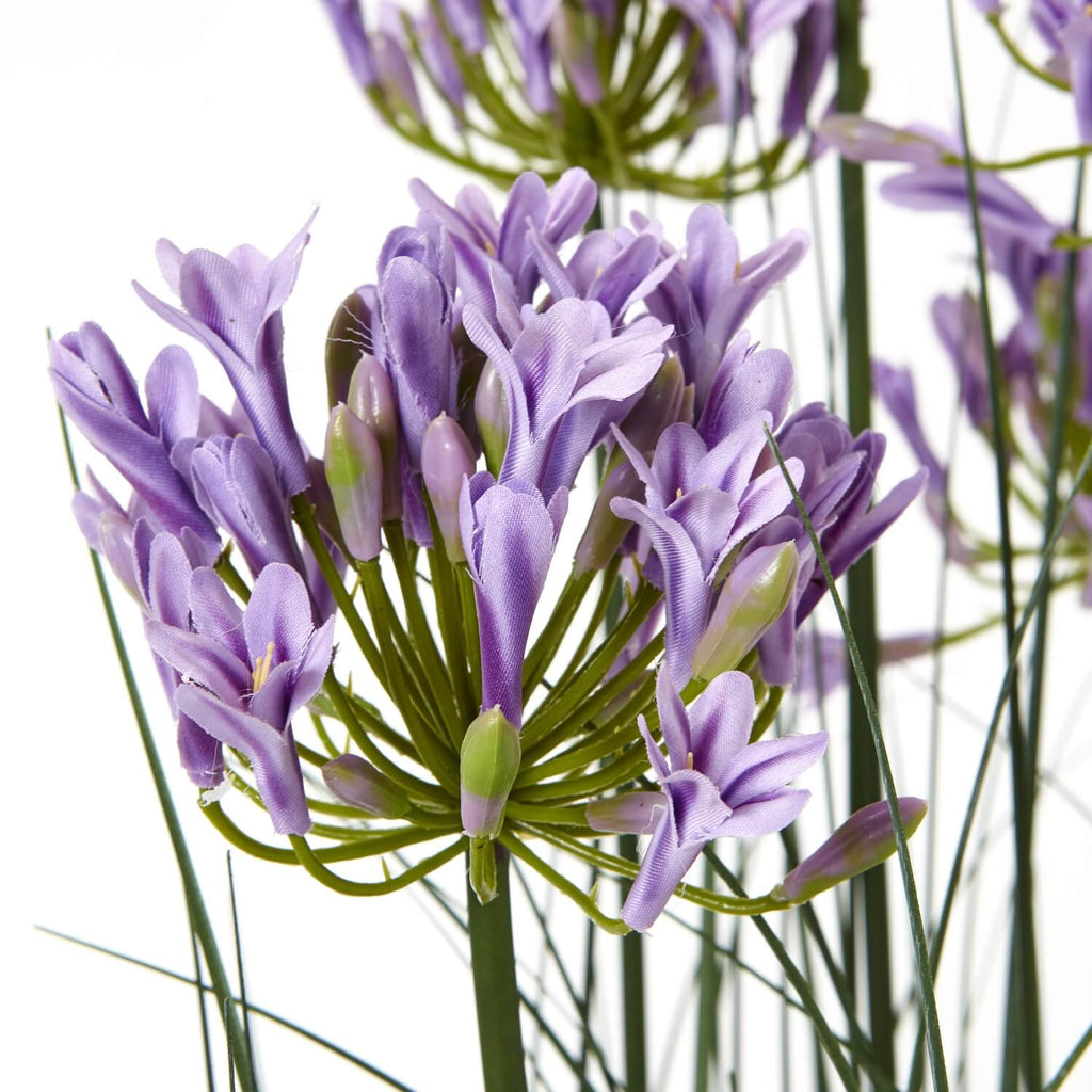 Lifelike purple agapanthus faux plant in pot with green foliage, 120cm tall, perfect for home or office decor.by sostter at brixbailey.com