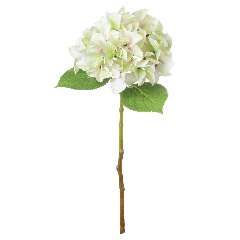 Lifelike artificial hydrangea stem in soft green, 50cm tall with realistic plastic petals and leaves for home decor by RoomLondon at brixbailey.com