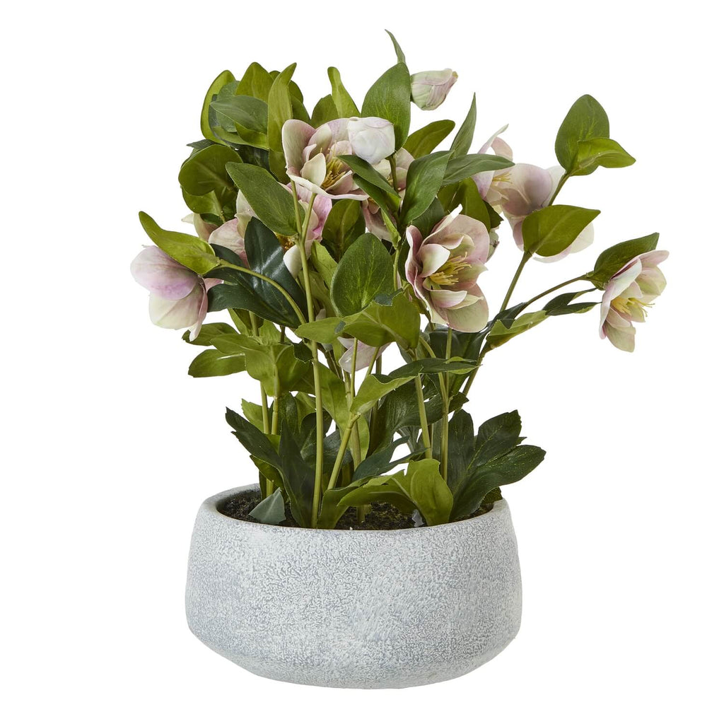 Lifelike faux Hellebore plant with soft pink and white blooms in grey ceramic pot, perfect for home decor by sostter at brixbailey.com