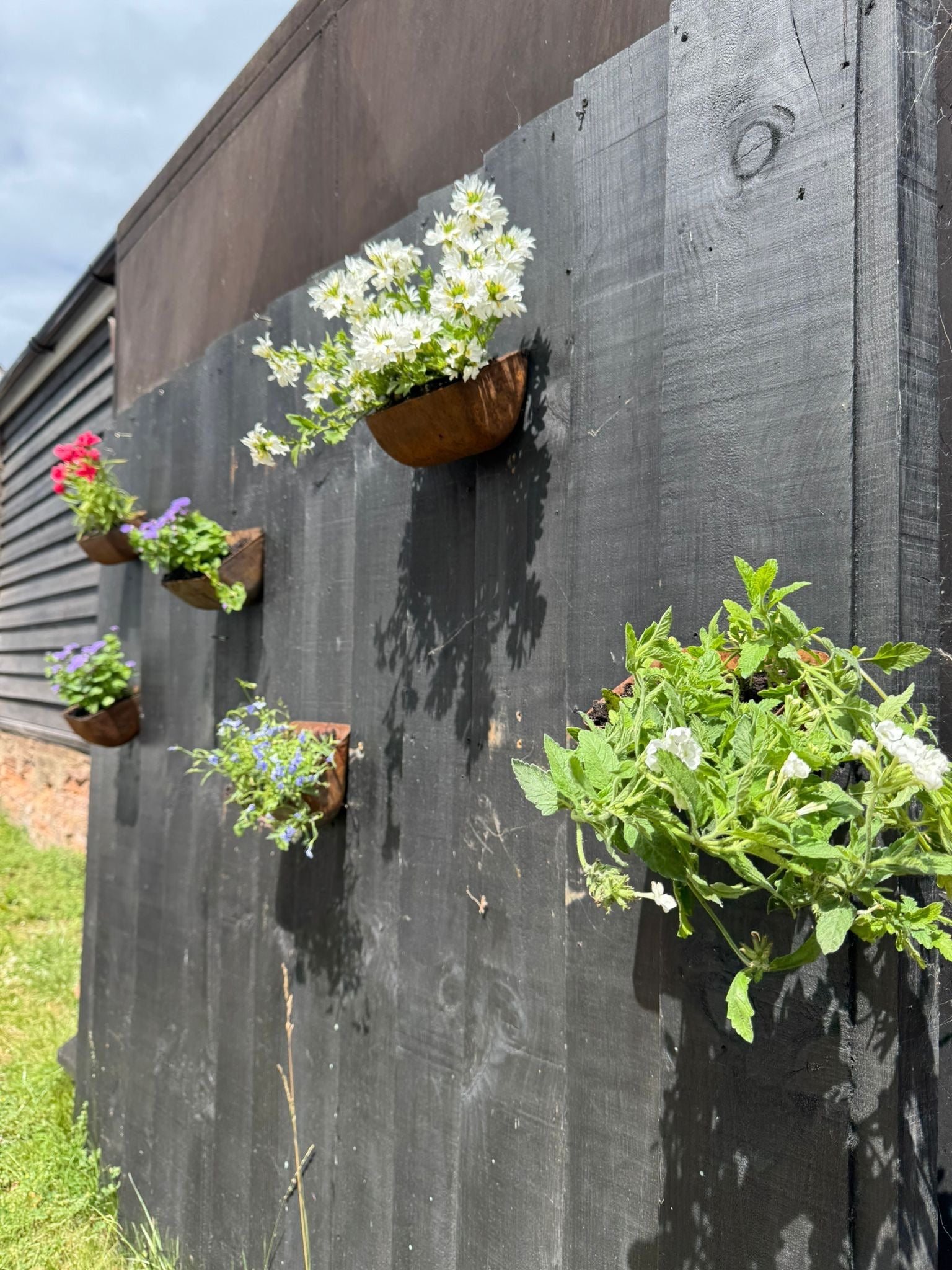 Vintage Rusty Metal Wall Mounted Planter for Herbs and Flowers