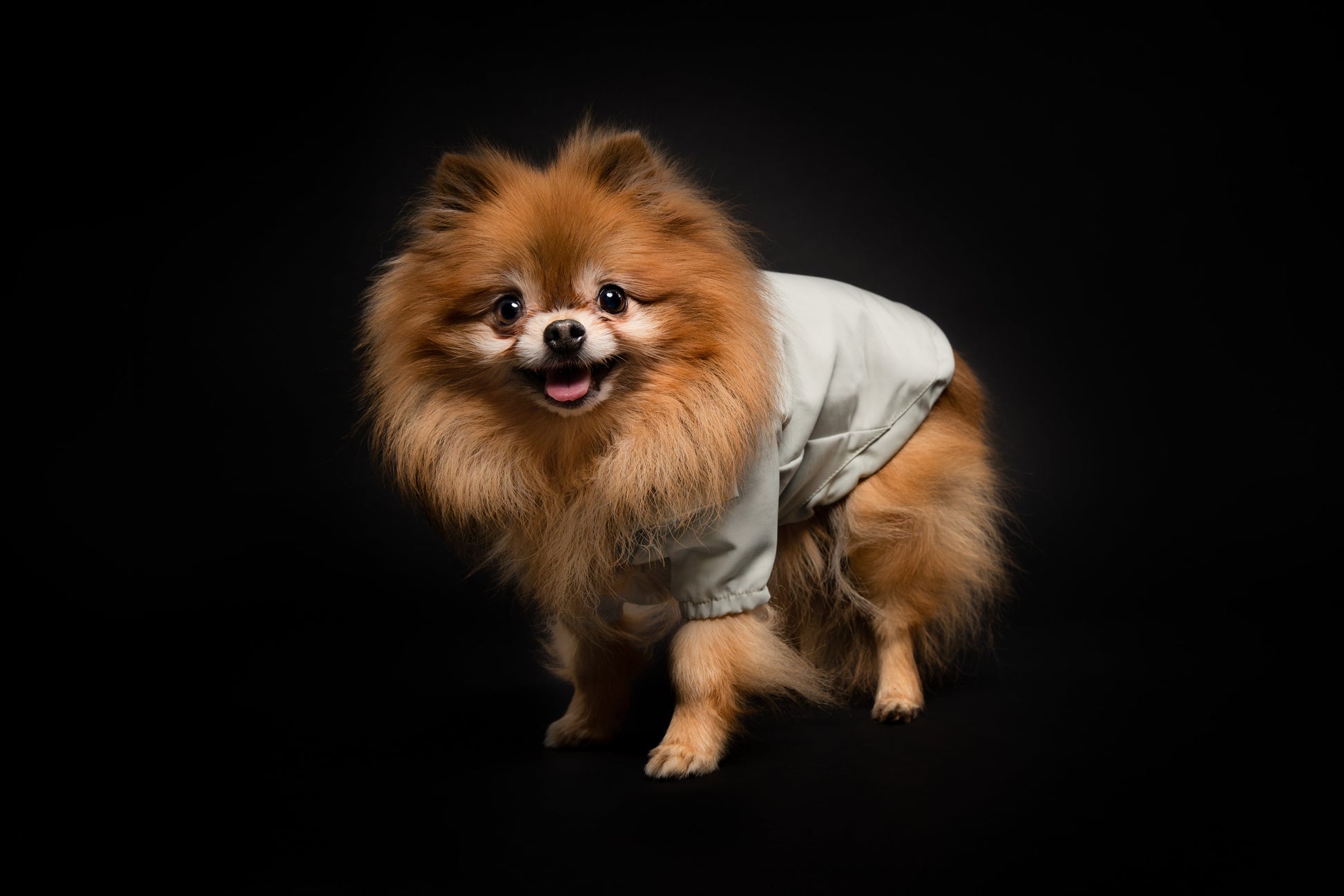 You Are Not Alone Thin Coat Water Resistant