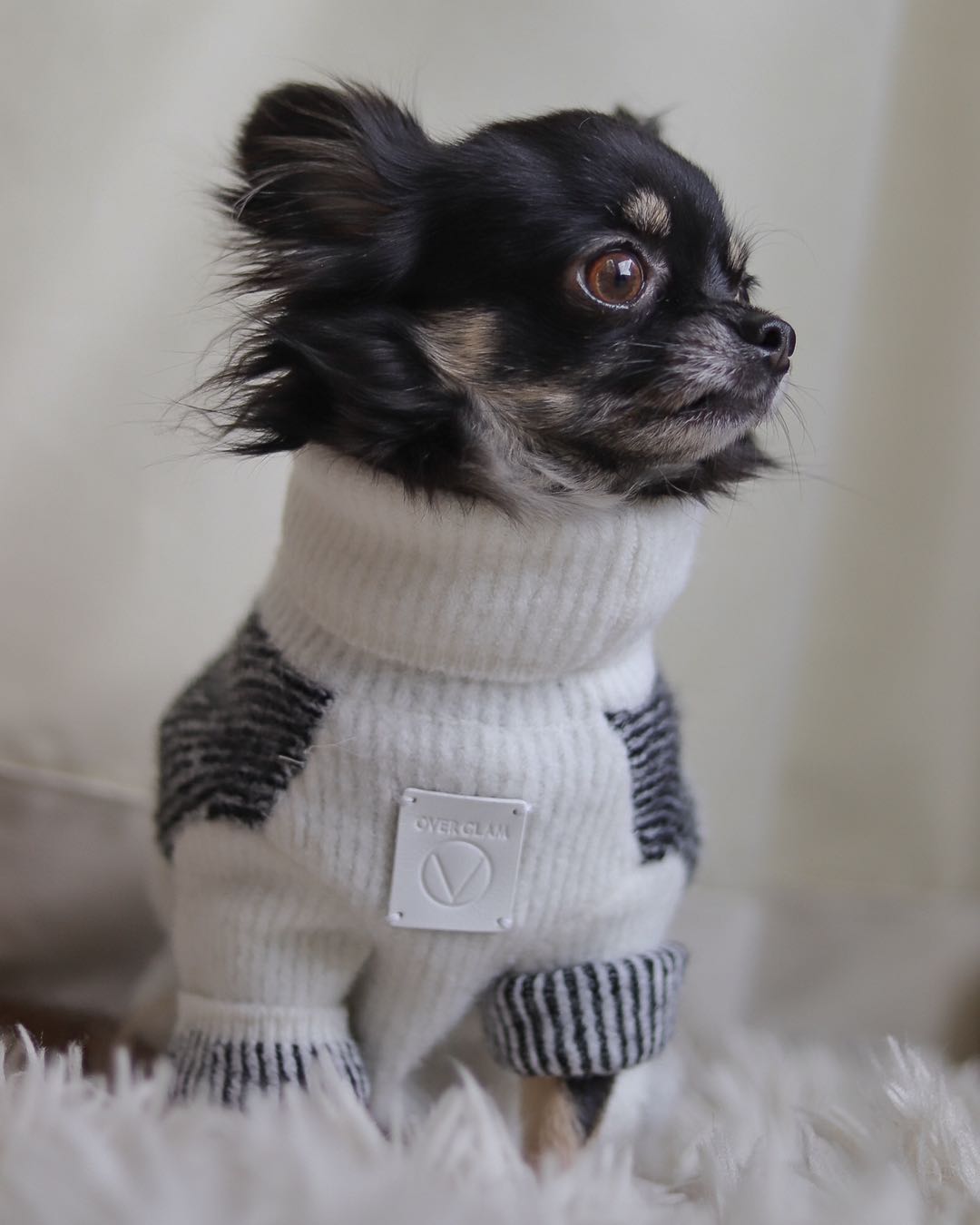 Contrast Stripe Turtleneck Jumper in Black and White