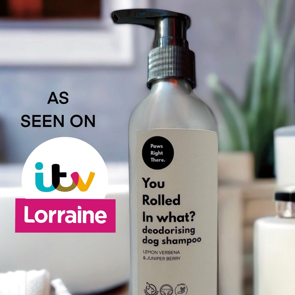 You Rolled in What Deodorising Dog Shampoo