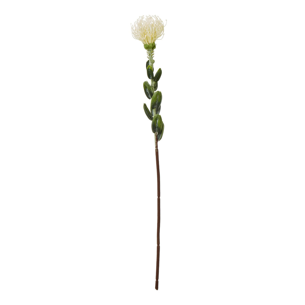 Cream artificial pincushion protea spray with realistic petals and foliage, 61cm tall, for home decor by sostter at brixbailey.com
