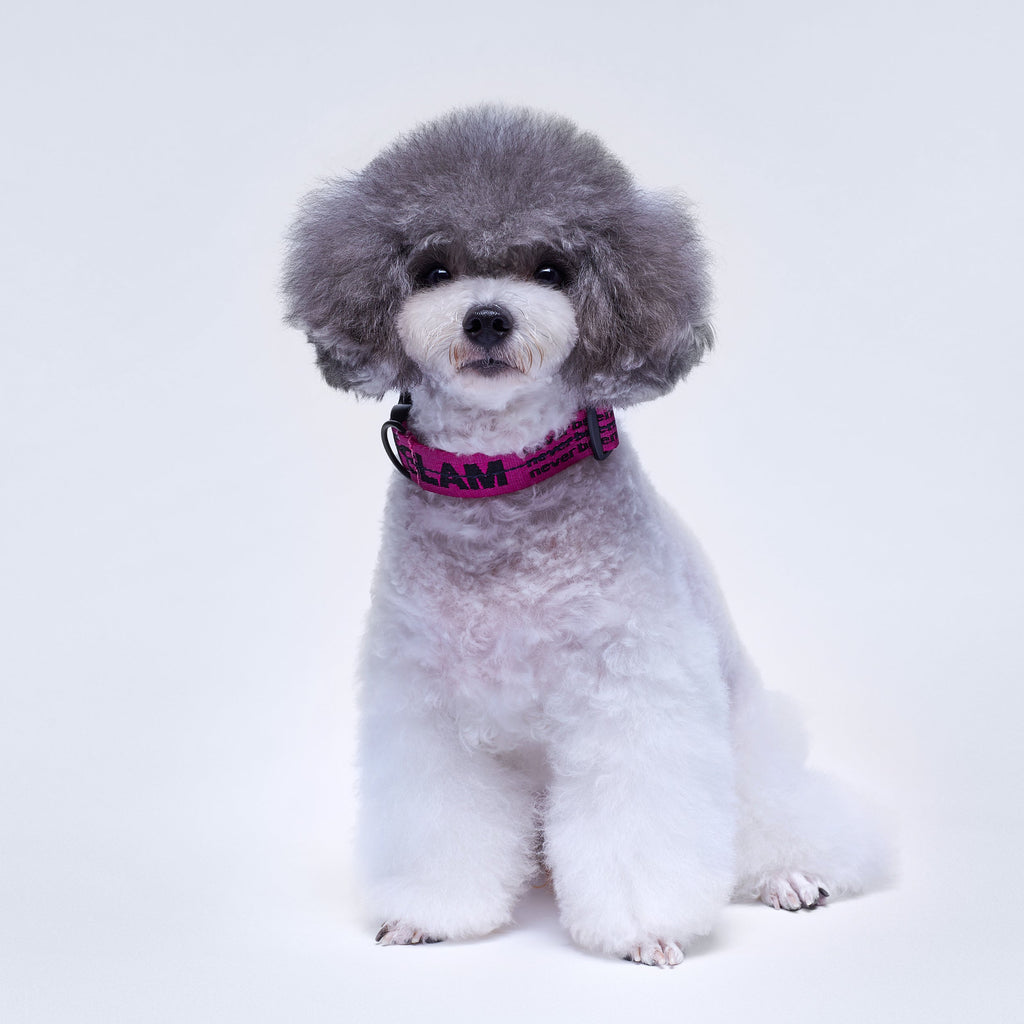 Ribbon Collar with Leather in Rose and Green