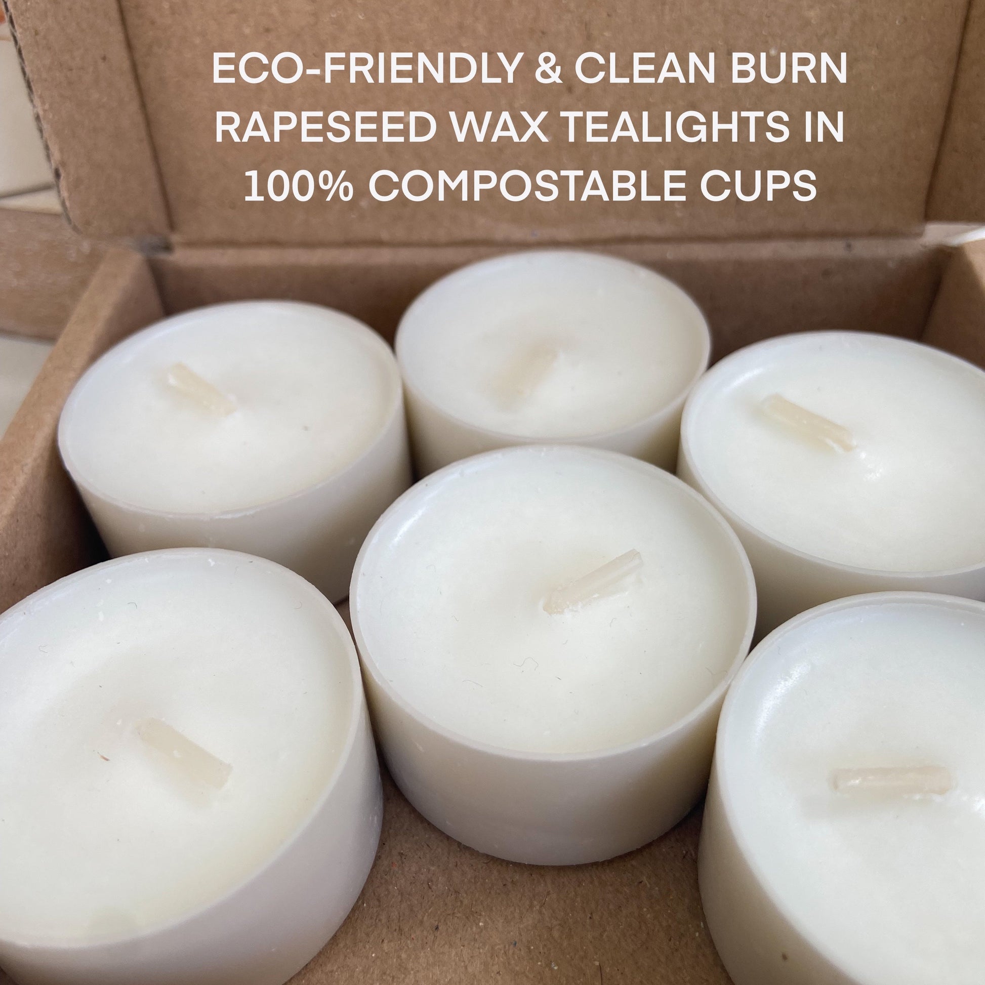 Nature's Glow Tea Lights in Eco Cups, Pack of 6