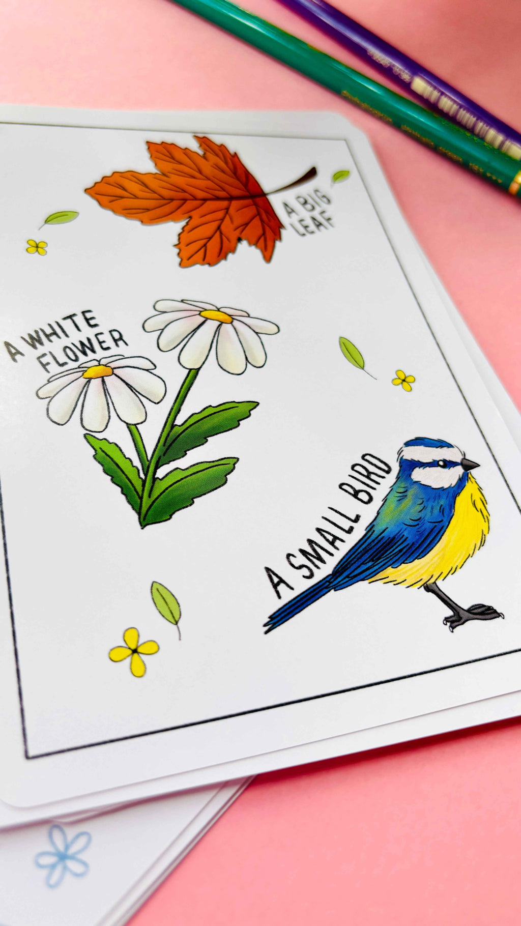 Nature Explorer Scavenger Hunt Cards Illustrated Educational Activity