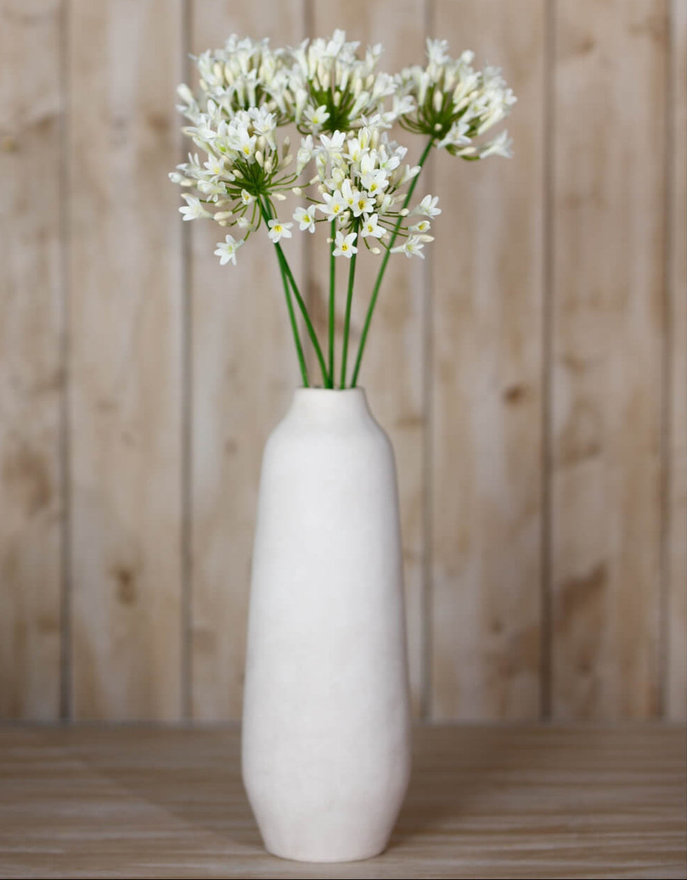 Cream agapanthus faux floral spray with lifelike green stem, 75cm tall, elegant home decor by Sostter at brixbailey.com