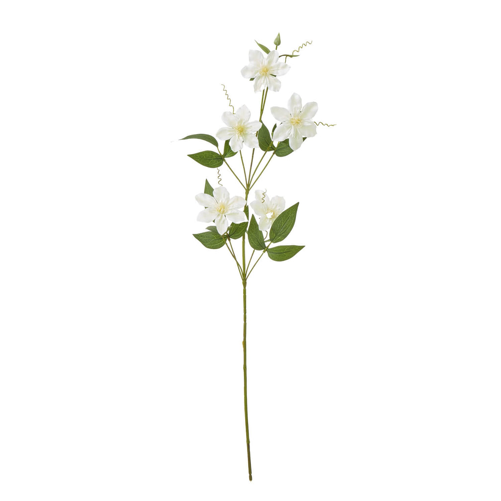 Cream Pearl Clematis Spray floral arrangement with lifelike white blooms and pearl accents in a vase by sostter at brixbailey.com