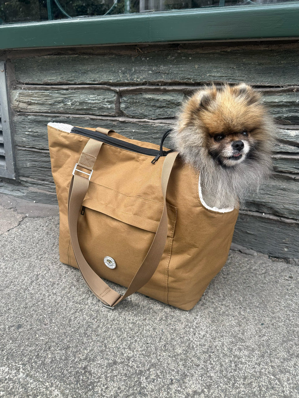 Light Brown and Cream Rainy Bear Pet Carrier for Dogs and Cats