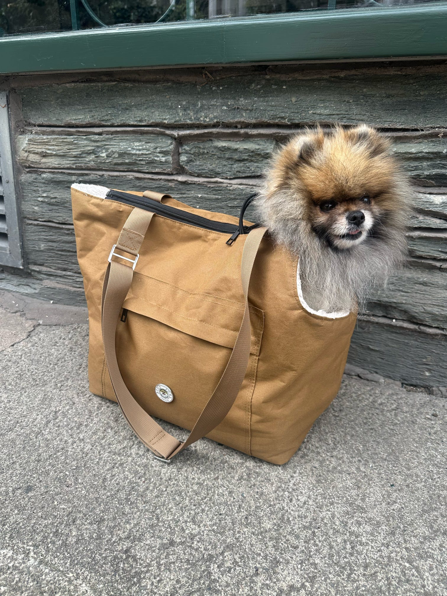 Light Brown and Cream Rainy Bear Pet Carrier for Dogs and Cats