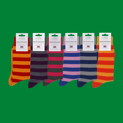 Bright Everyday Merino Socks 6 Pair Bundle