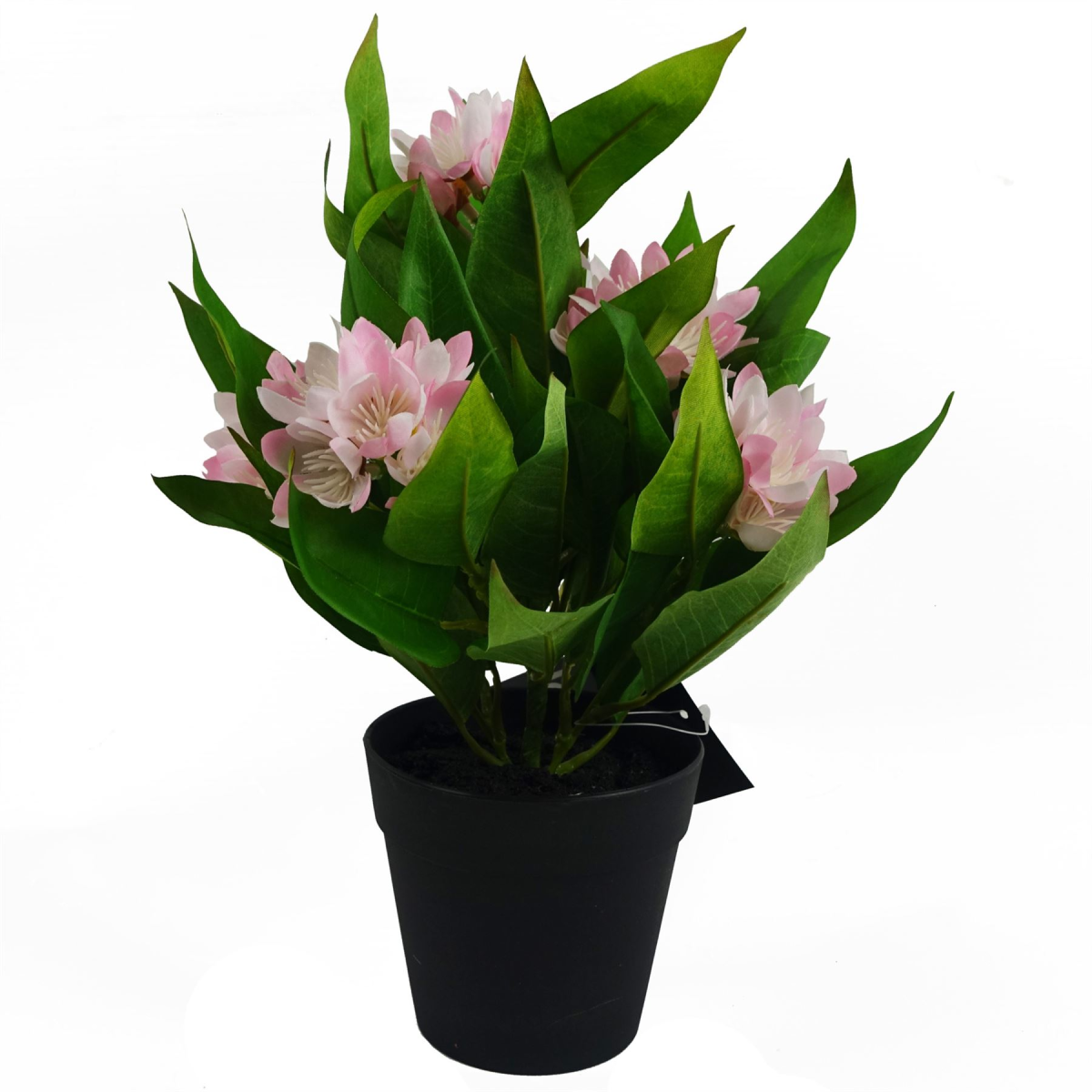3 Pack Artificial Freesia Plants in Pink White and Blue