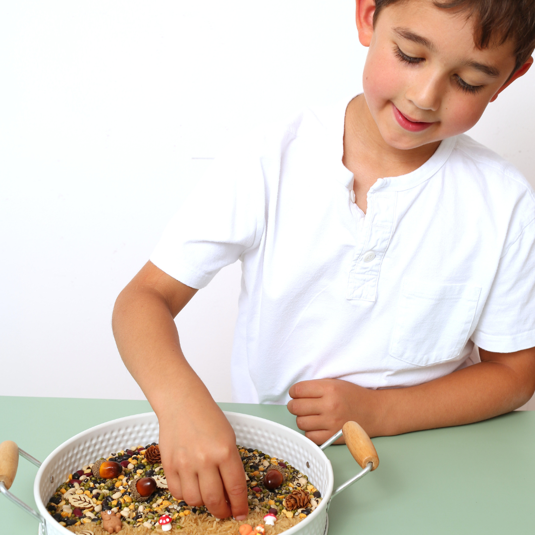 Woodland Sensory Kit for Children