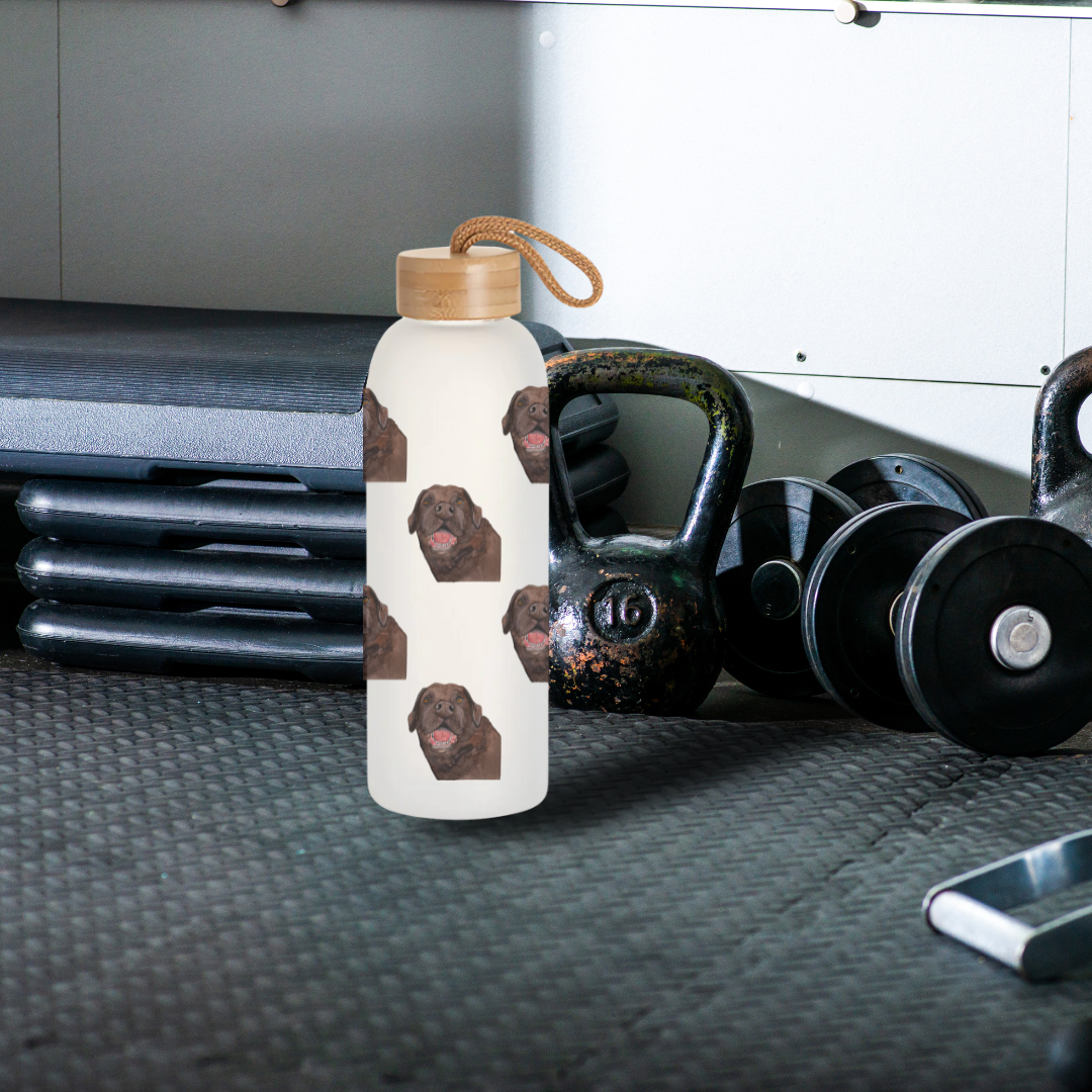 Stay Pawsitively Hydrated Glass Water Bottle