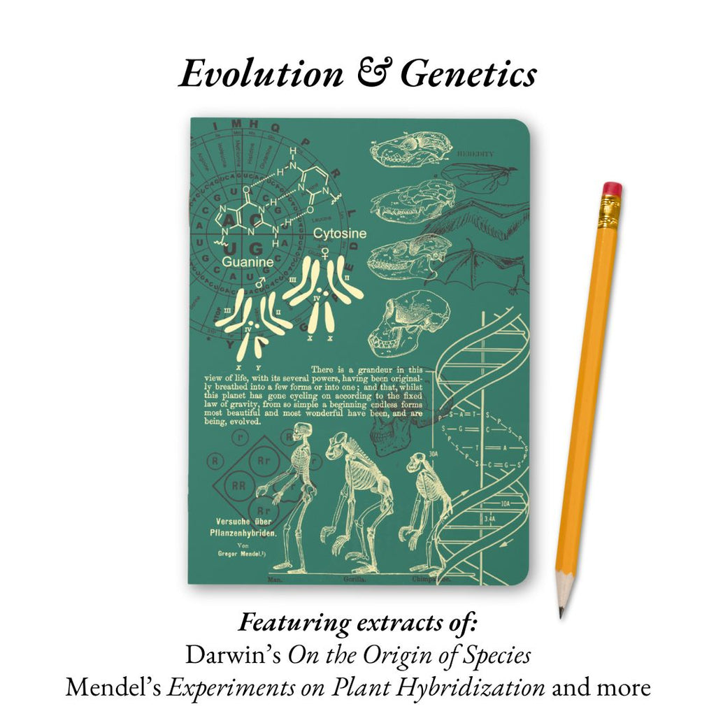 The Living Code Notebook Set Anatomy Neuroscience Evolution Genetics