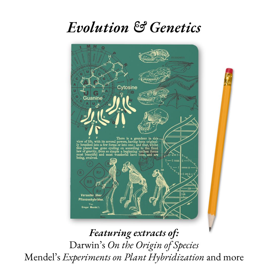 The Living Code Notebook Set Anatomy Neuroscience Evolution Genetics