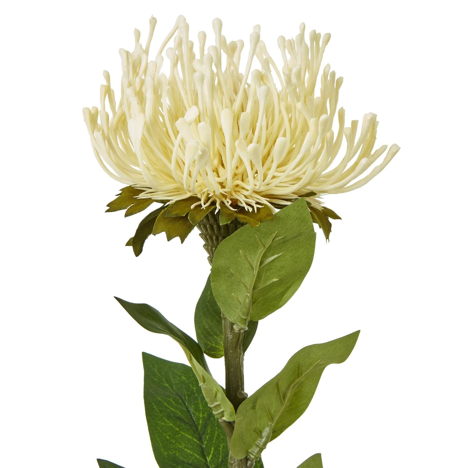 Cream Protea Lorea Stem with lifelike spherical bloom and lush foliage, soft cream artificial flower for home decor by sostter at brixbailey.com