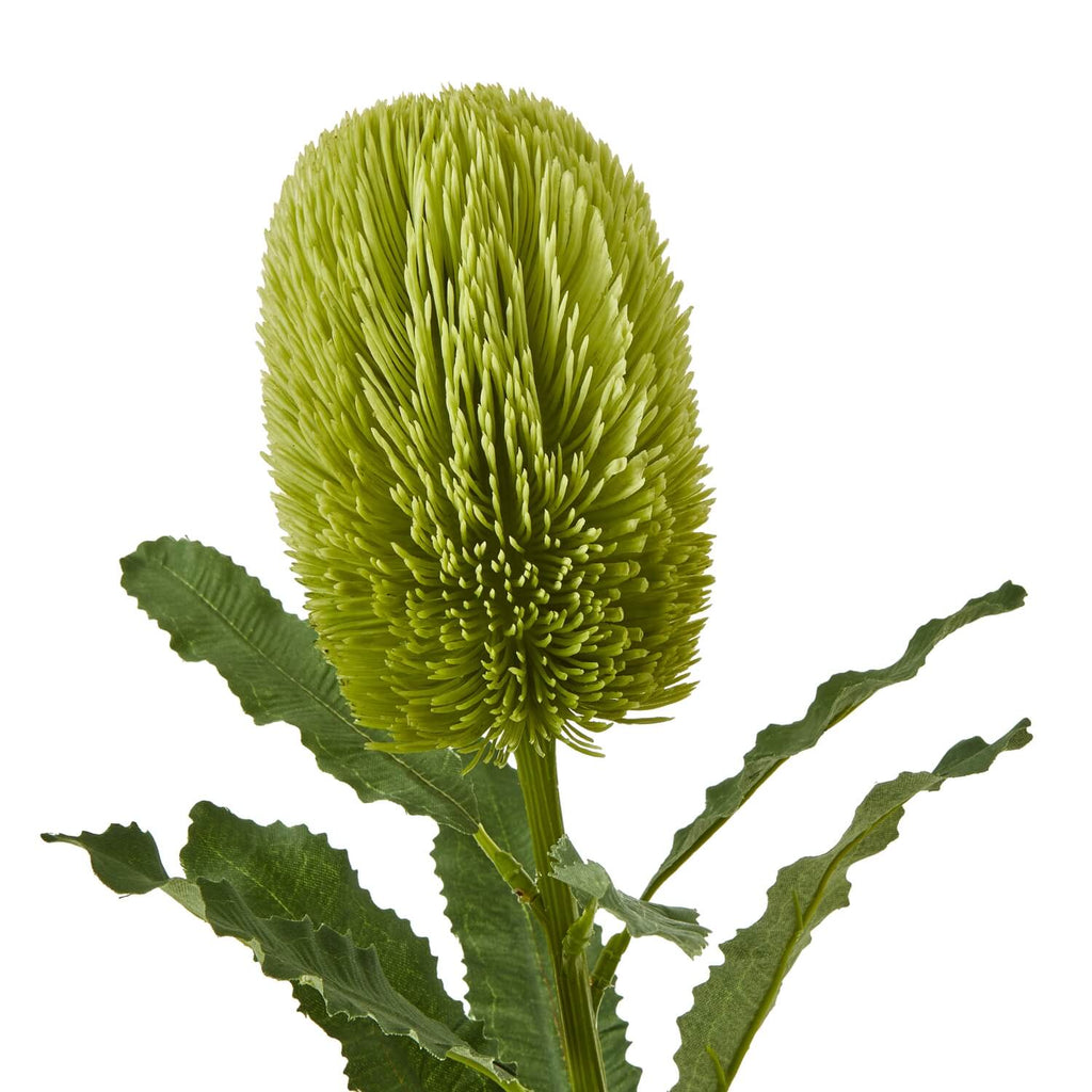 Lifelike green Banksia Serrata artificial stem, 65cm tall with textured leaves and cone-shaped blooms for home decor by sostter at brixbailey.com