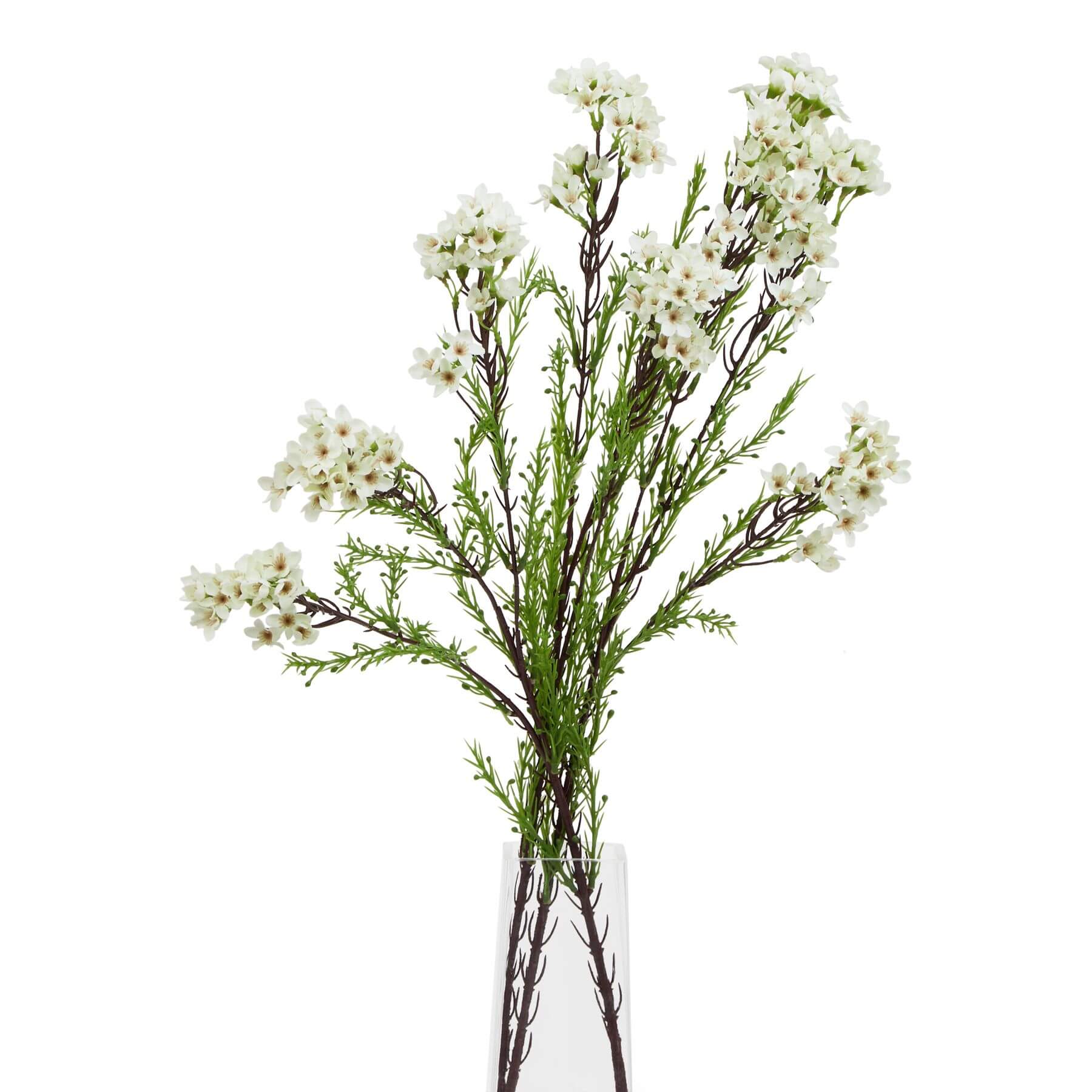 Lifelike white waxflower artificial stem with green leaves, 80cm tall, perfect for home decor and floral arrangements. by sostter at brixbailey.com