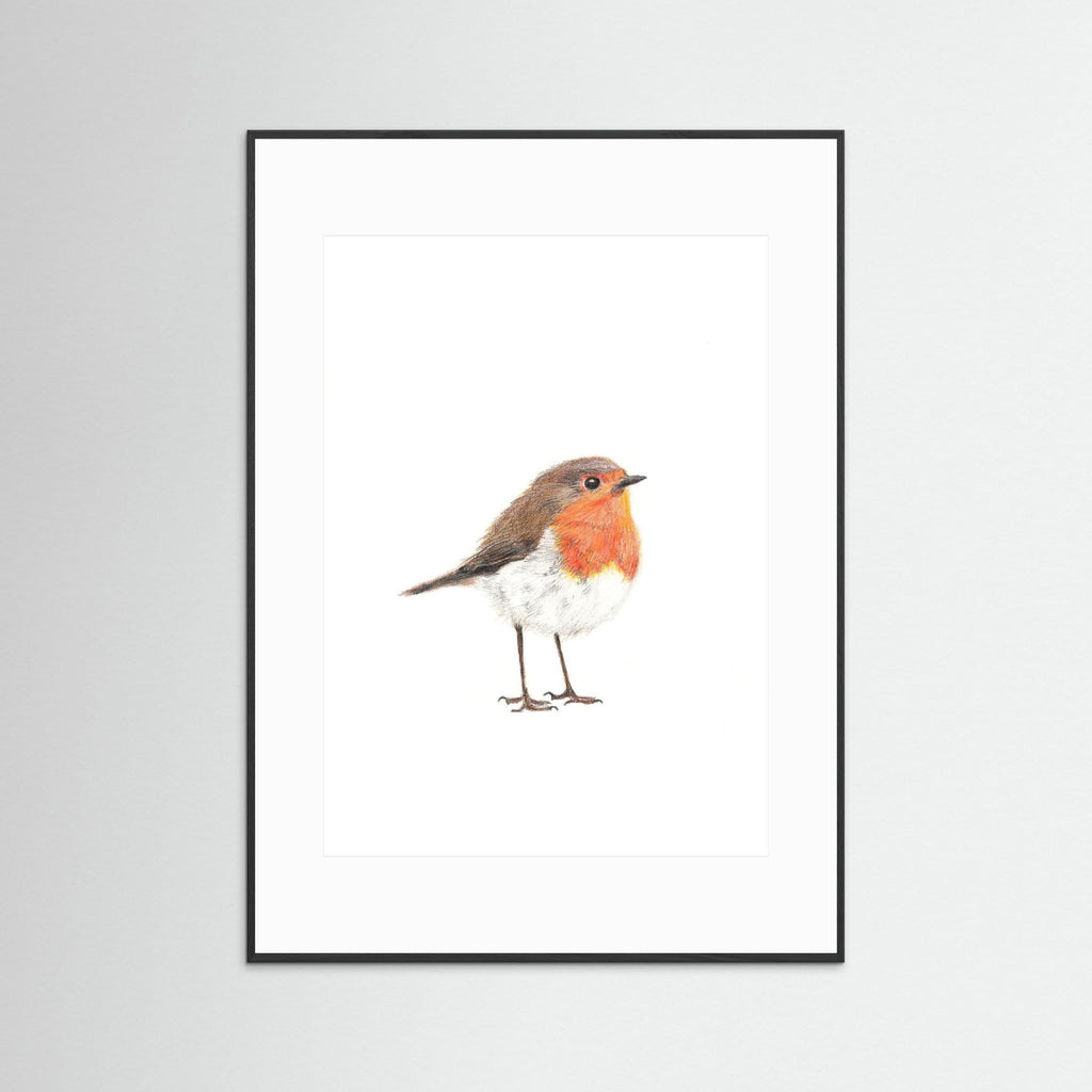 Robin Art Print Wildlife Wall Art for Nature Lovers