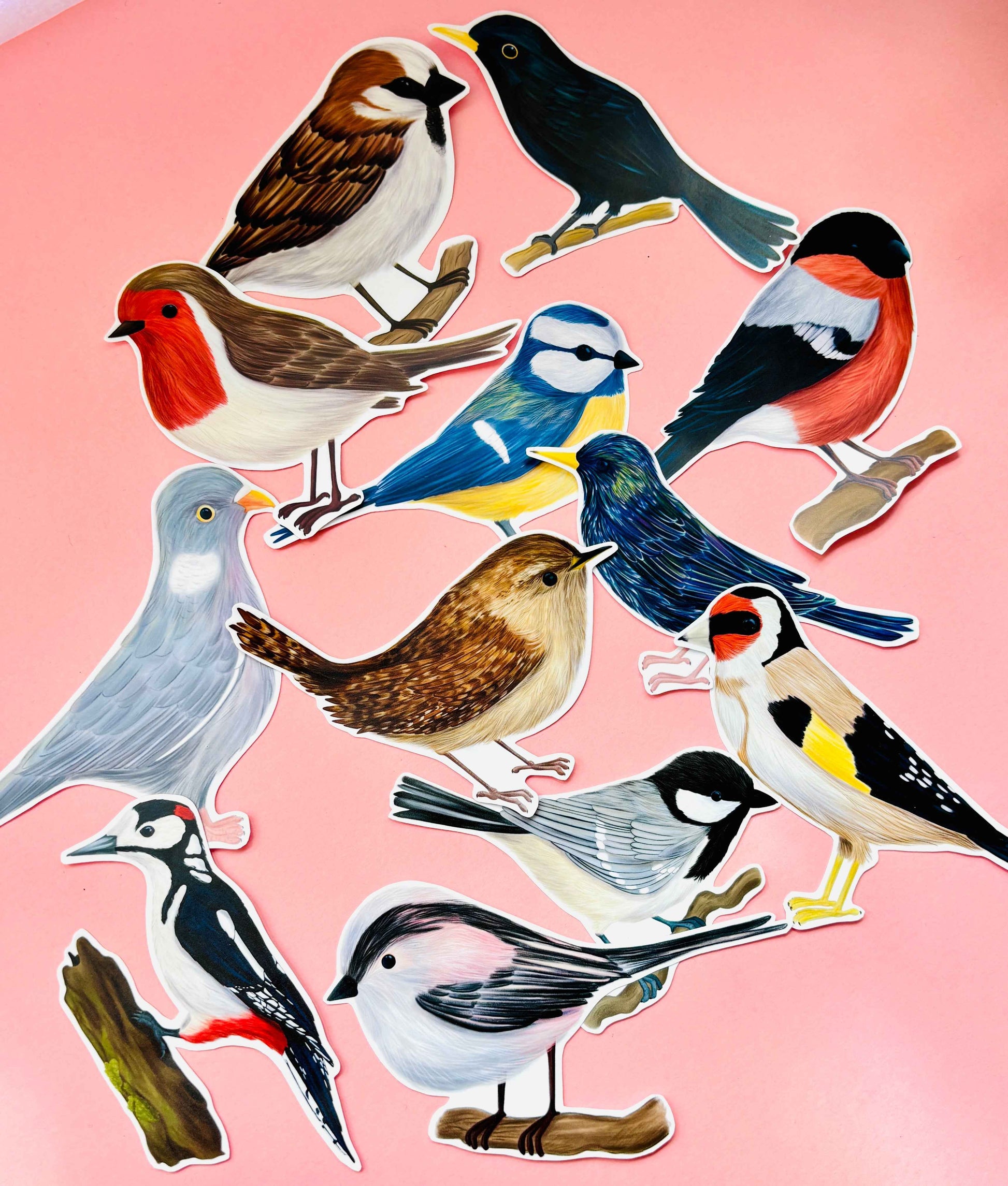 Garden Bird Vinyl Sticker Set 12 Pack 7cm Waterproof