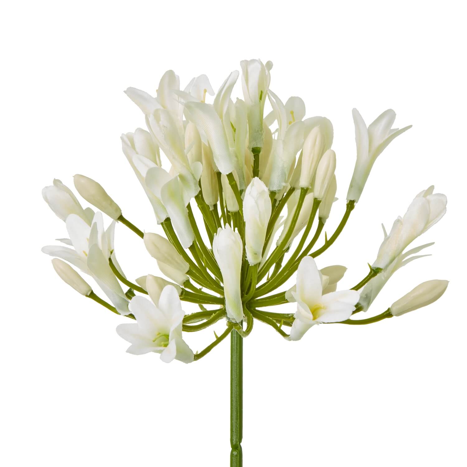 Cream agapanthus faux floral spray with lifelike blooms and green stem, 75cm tall by Sostter at brixbailey.com