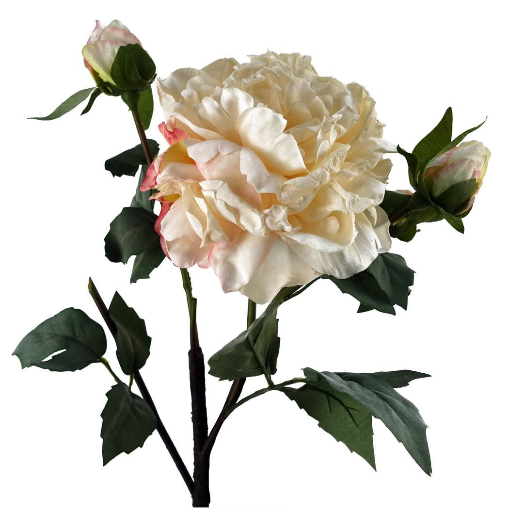 Cream Peony Artificial Flowers 60cm Stem Pack of 6