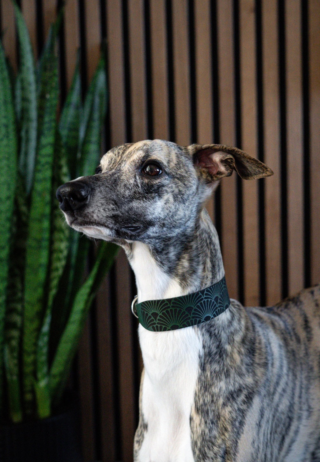 Leather Collar Art Deco