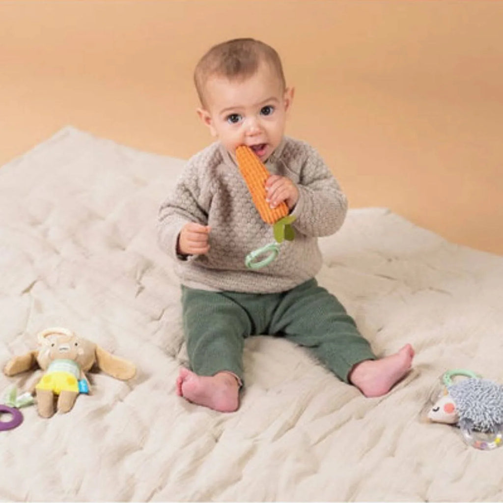 Activity Toys Kit for Babies