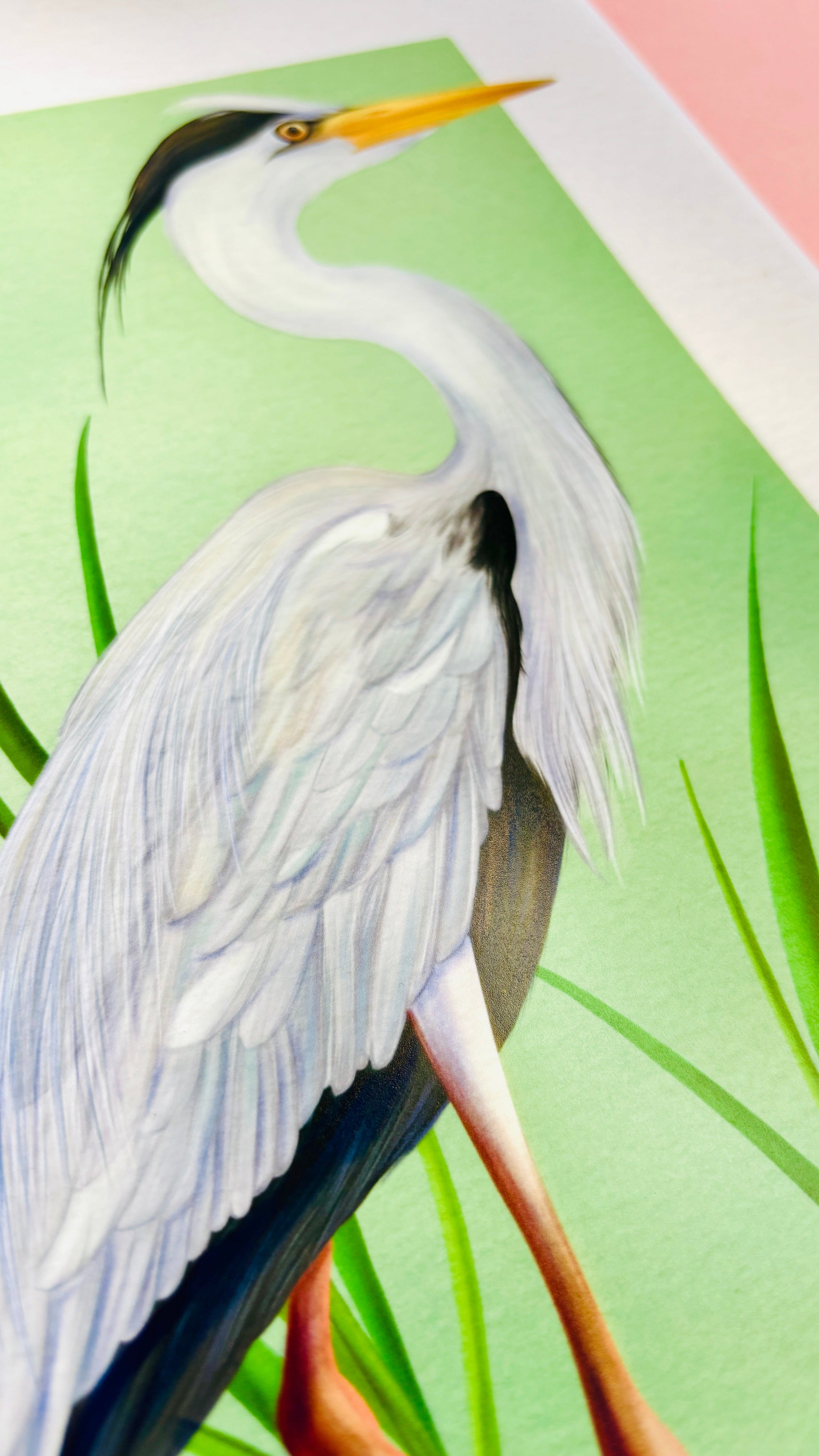 Grey Heron Wildlife Art Print in Multiple Sizes