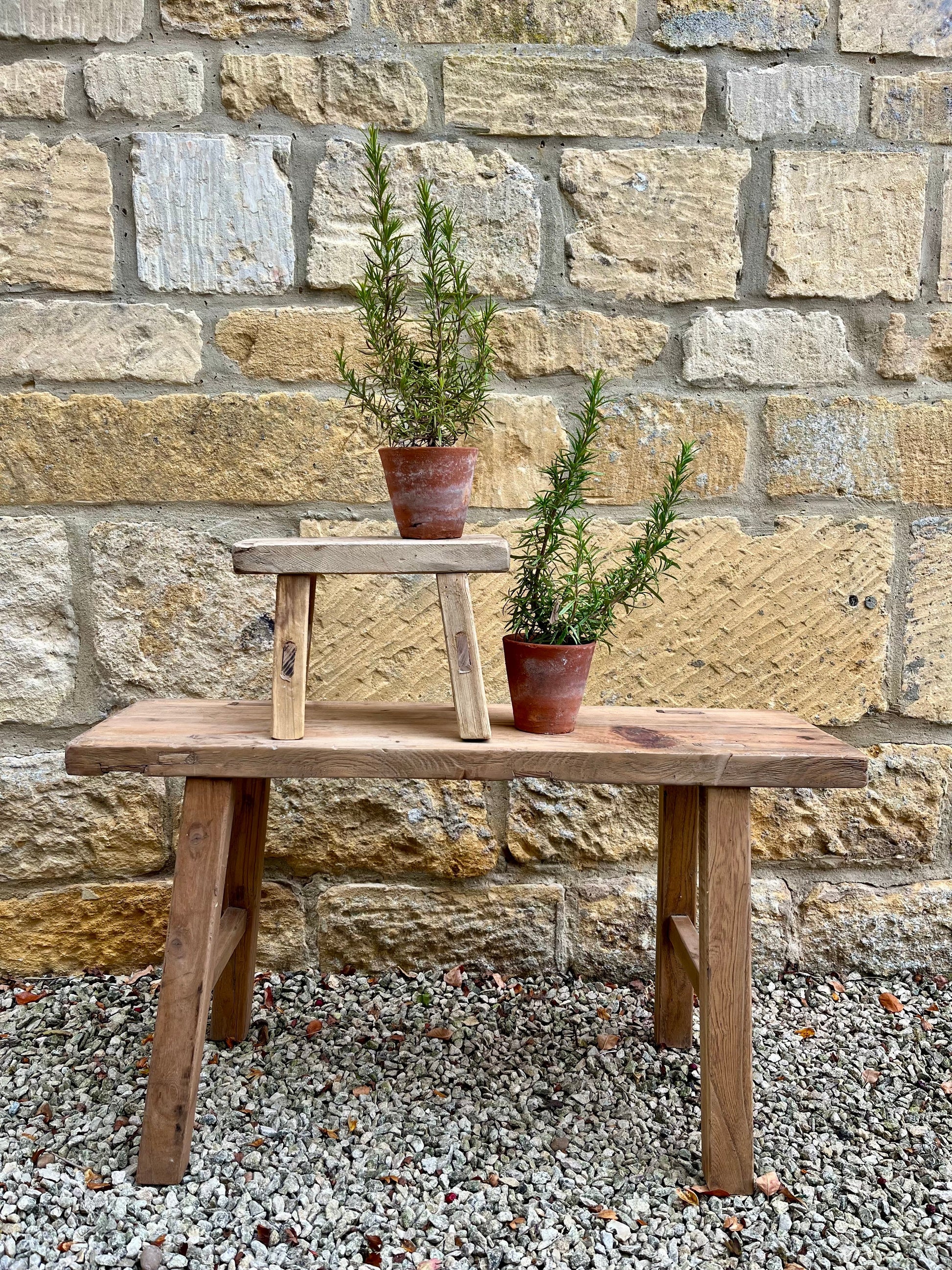 Reclaimed Elm Rustic Bench