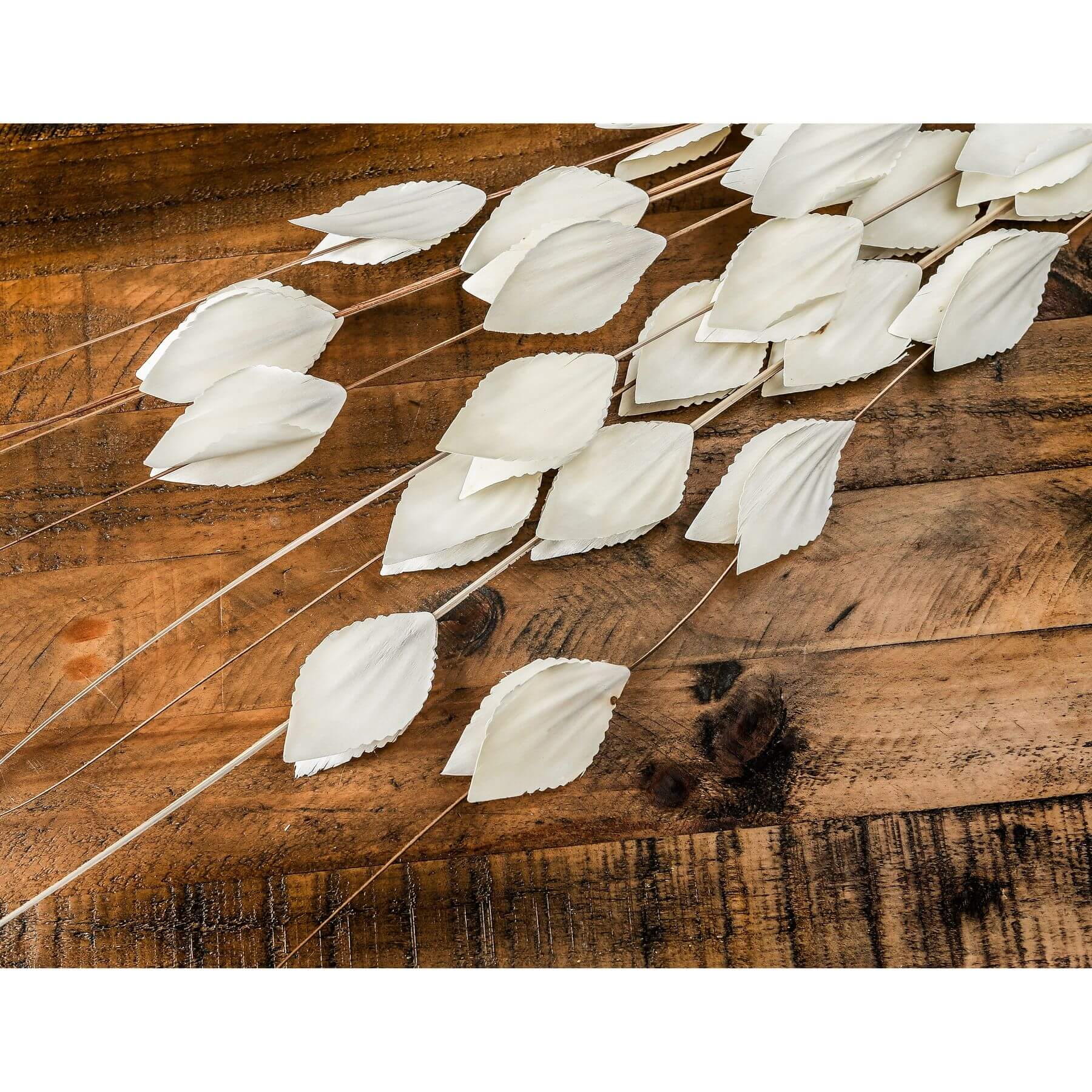 Dried Thlaspi Arvense bouquet with delicate white seed pods, perfect for modern or traditional dÃ©cor.by Sostter at brixbailey.com