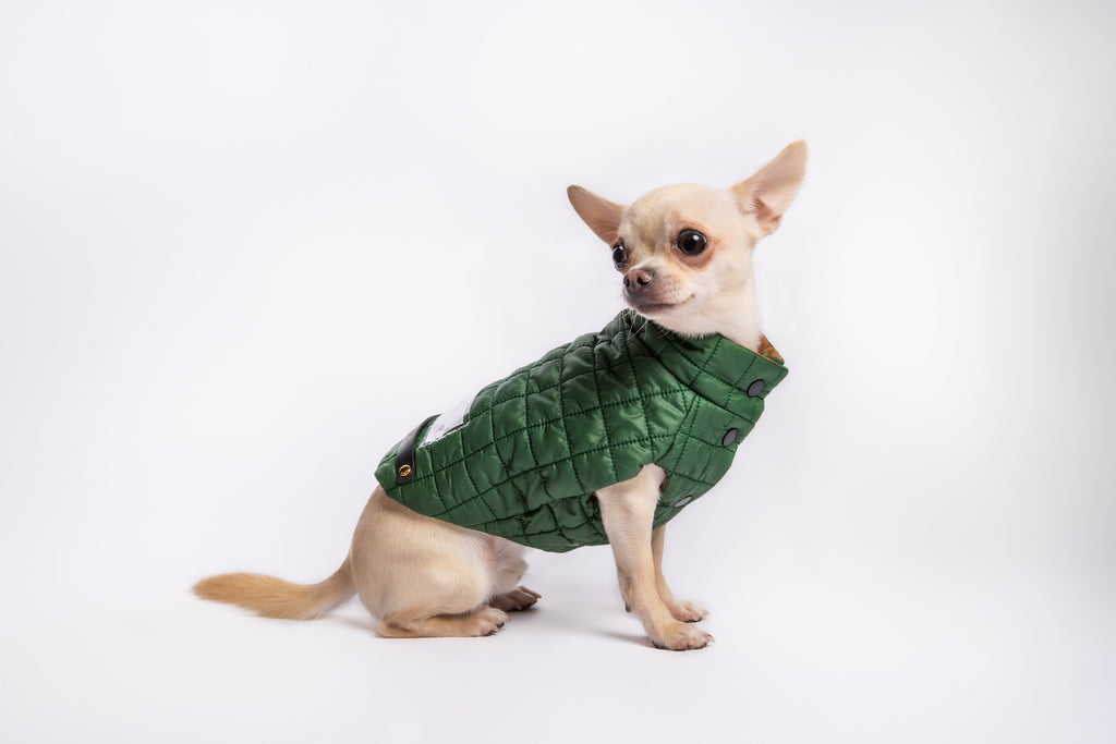 You Are Not Alone Sleeveless Puffer Jacket