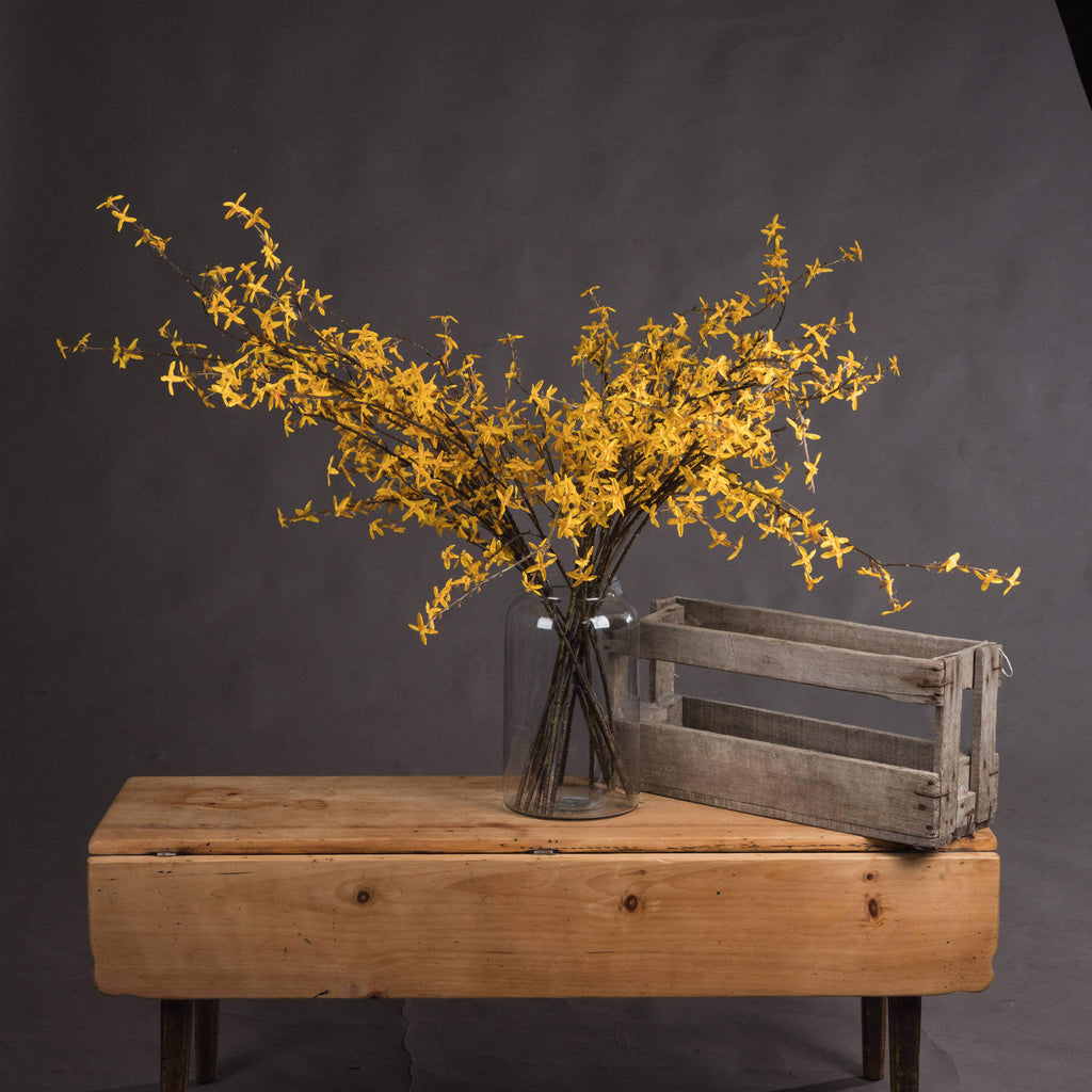 a bold close-up of vibrant yellow forsythia blooms against a dark leather bag