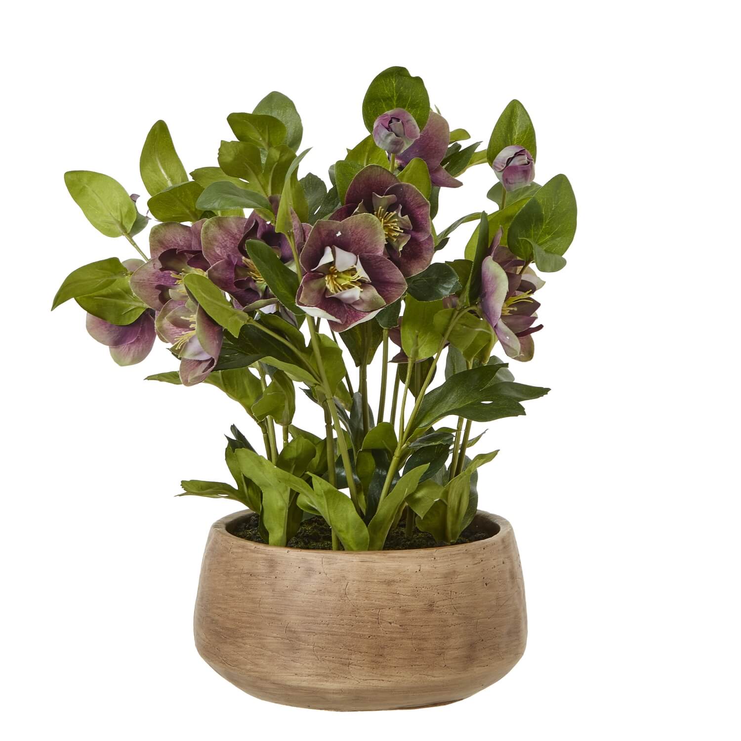 Lifelike plum hellebore faux plant in taupe ceramic pot, ultra-realistic blooms and foliage for home decor by sostter at brixbailey.com