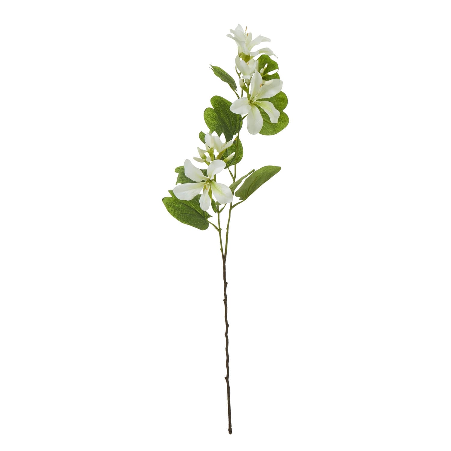 Cream Bauhinia Orchid Spray artificial floral arrangement with lifelike tropical blooms and foliage, 34 inches tall. by sostter at brixbailey.com