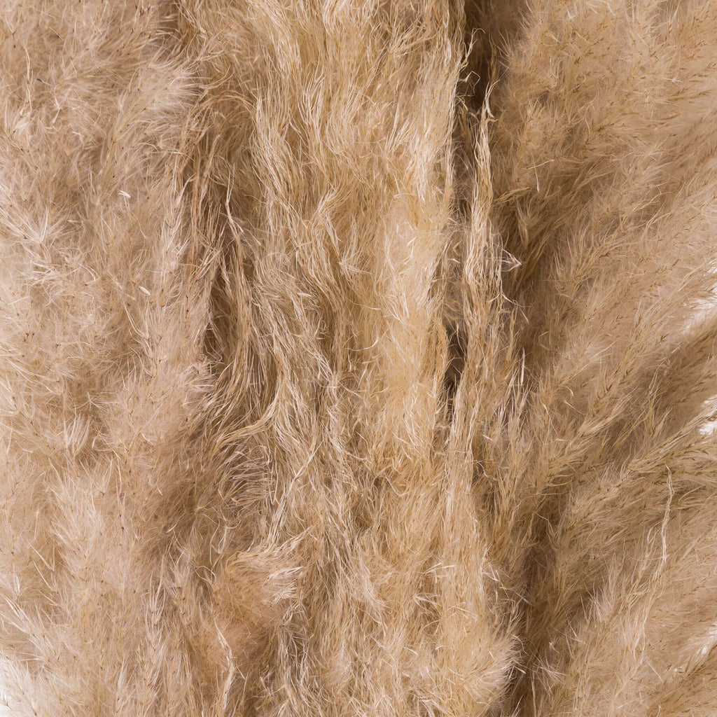 Hand-selected natural butter pampas grass stems, 110cm tall with feathery plumes for home dÃ©cor by RoomLondon at brixbailey.com