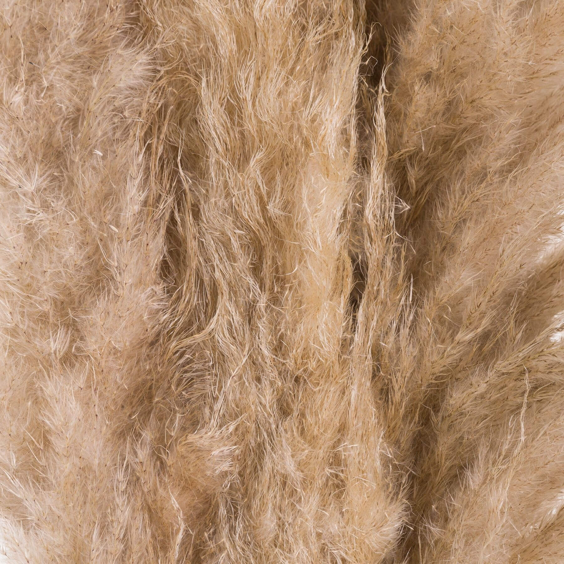 Hand-selected natural butter pampas grass stems, 110cm tall with feathery plumes for home dÃ©cor by RoomLondon at brixbailey.com