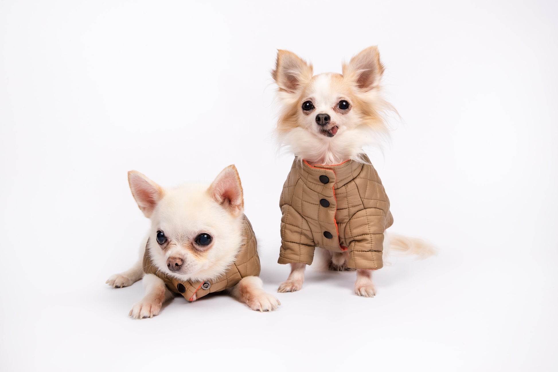 You Are Not Alone Puffer Jacket