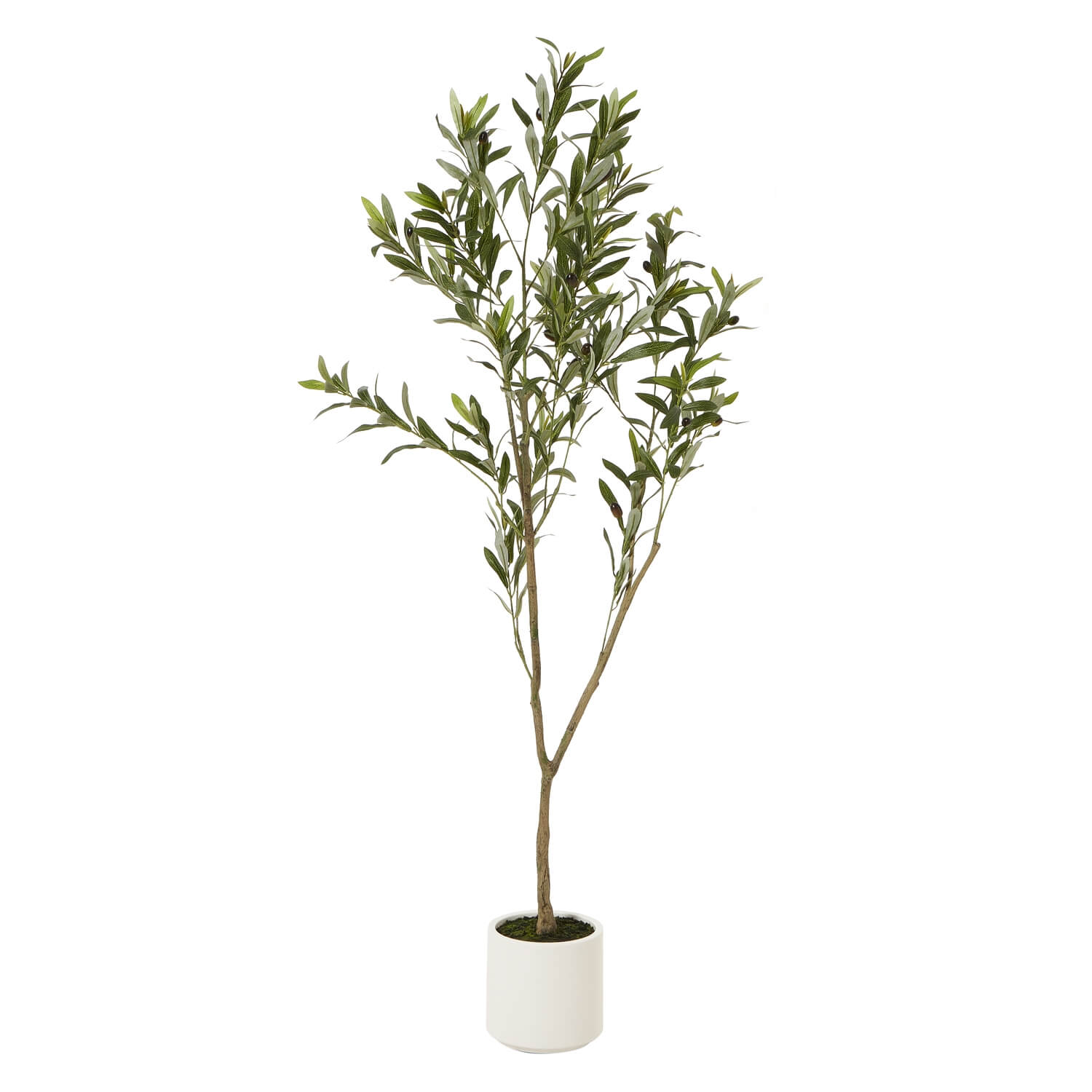 150cm artificial Apulia olive tree with silvery-green leaves, gnarled trunk, and white planter for Mediterranean decor by Sostter at brixbailey.com