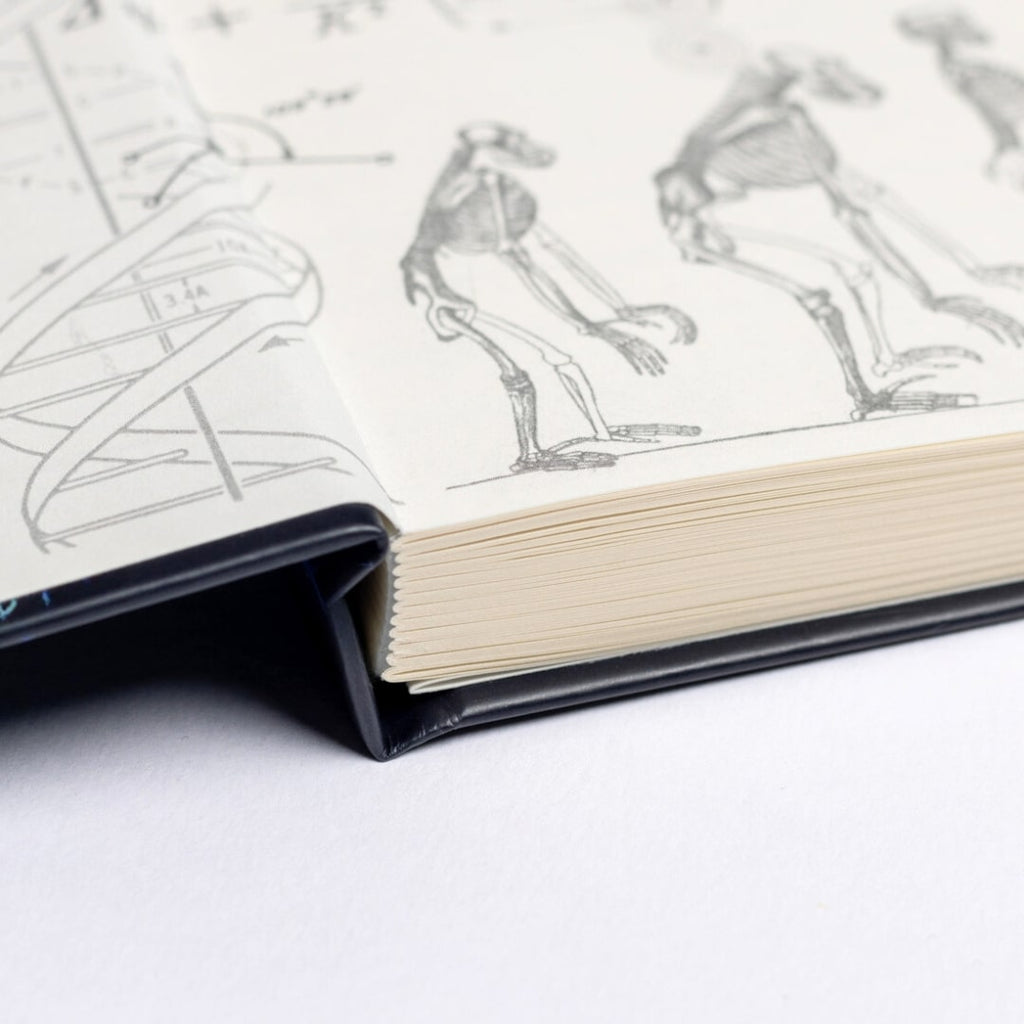 Astronomy A5 Hardcover Notebook