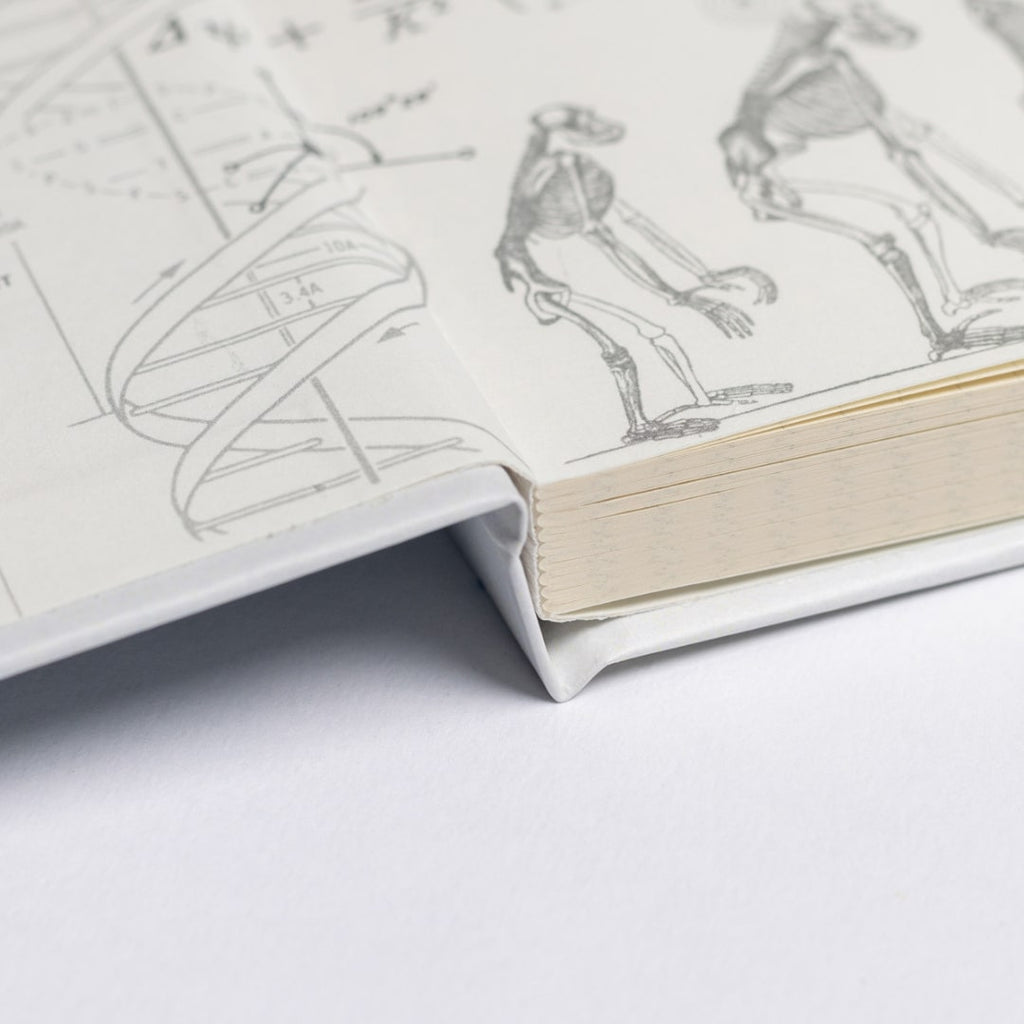Anatomy A5 Hardcover Notebook