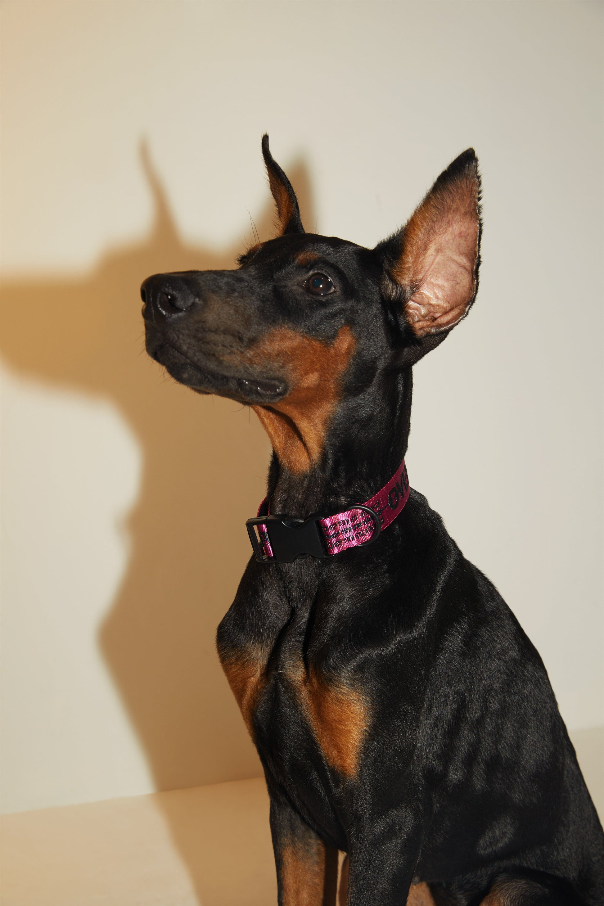 Ribbon Collar in Rose and Green