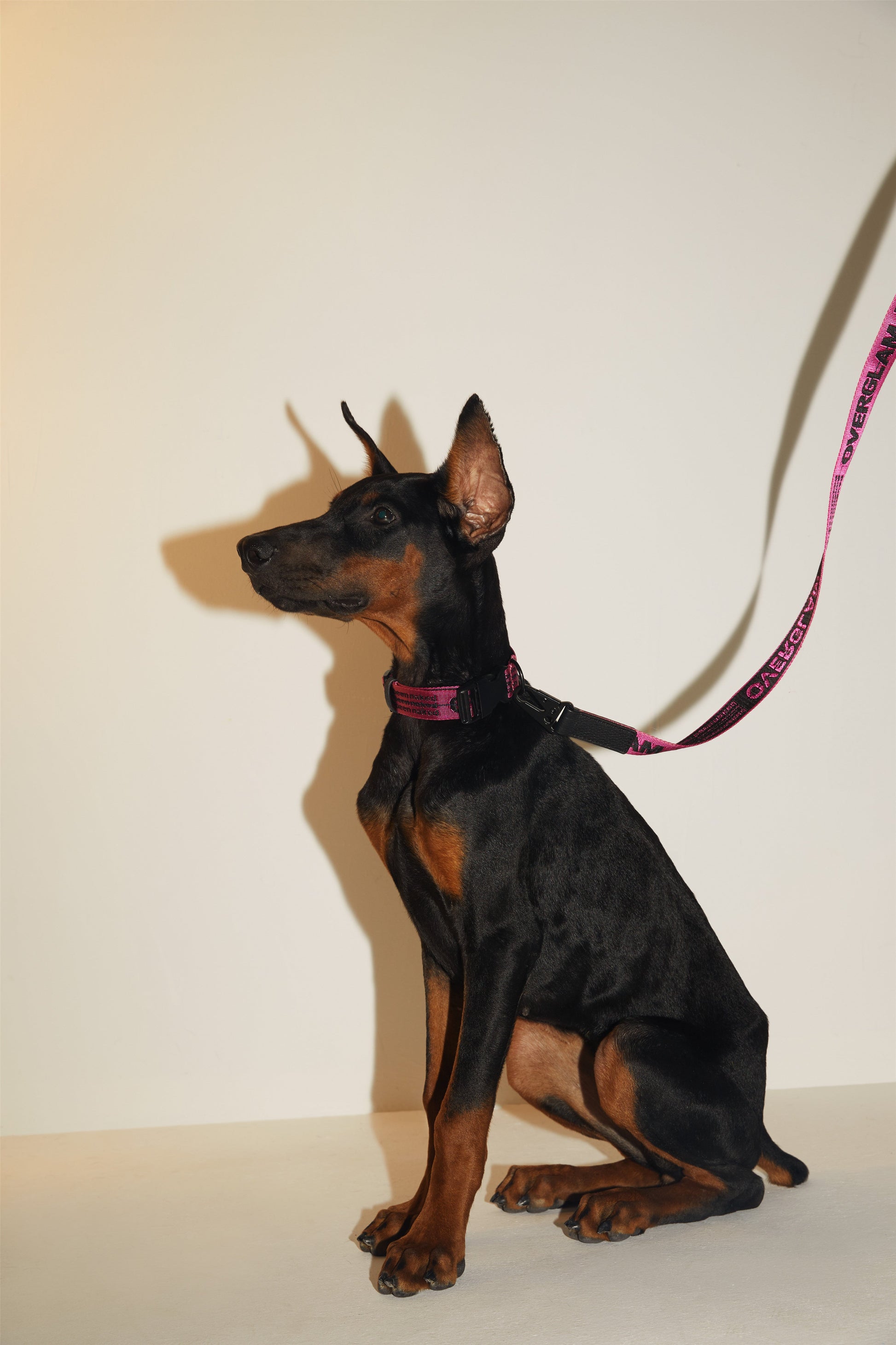 Ribbon Collar in Rose and Green