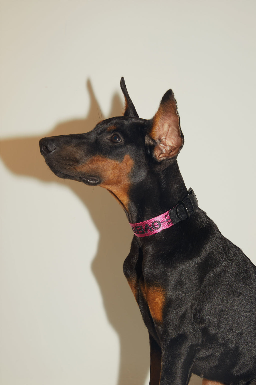 Ribbon Collar with Leather in Rose and Green