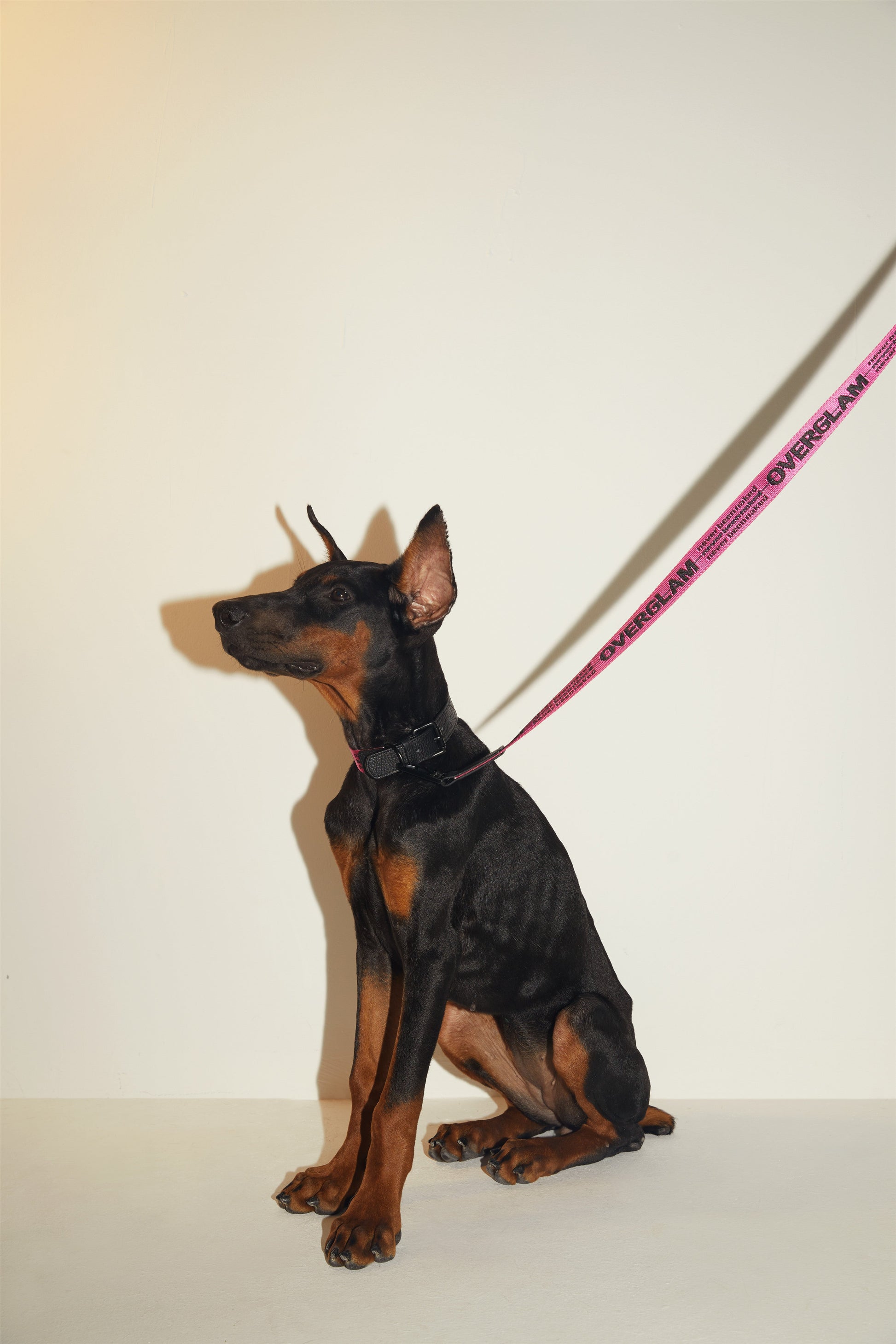 Ribbon Collar with Leather in Rose and Green